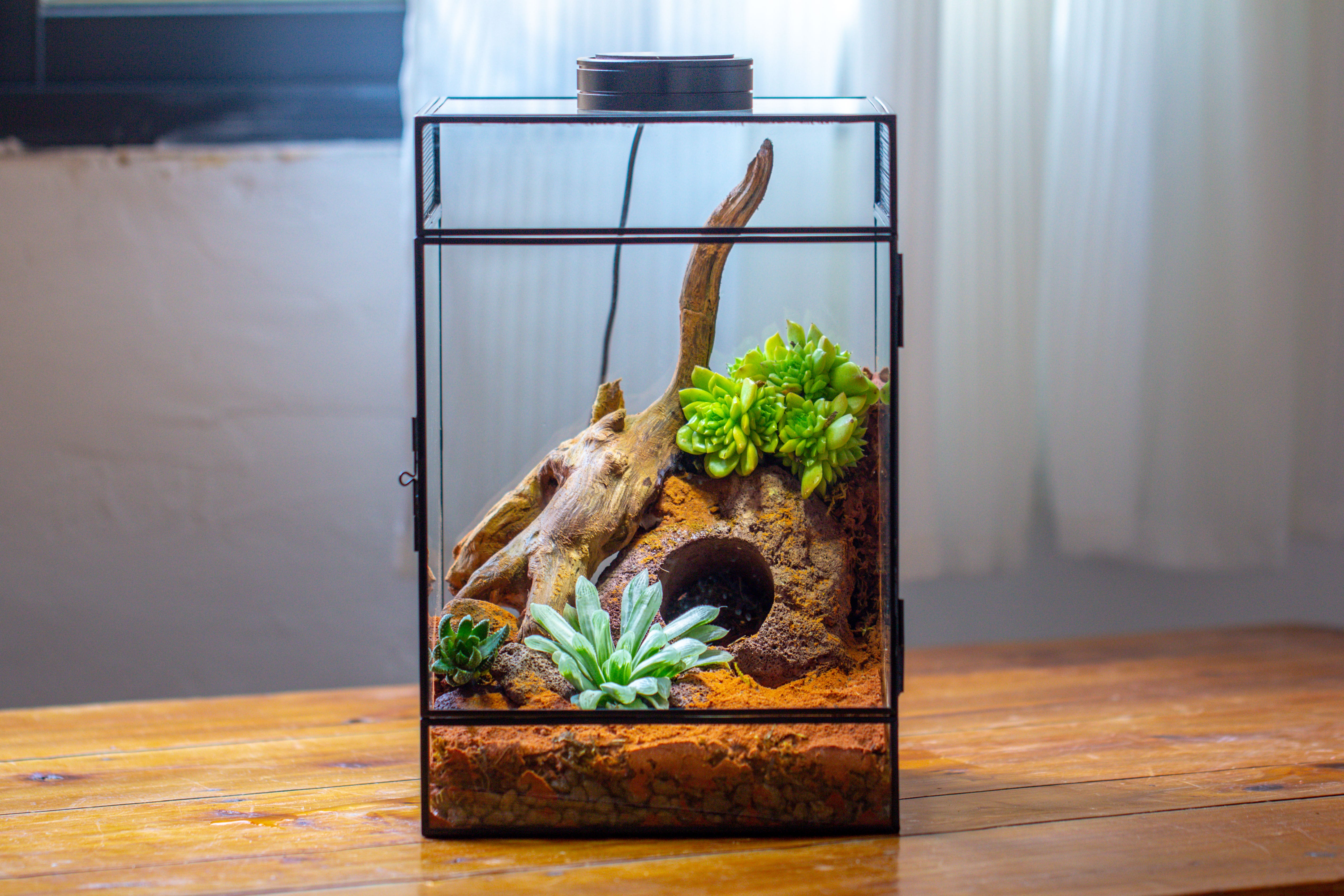 8x8x12 inches Large Handmade Glass Geometric Terrarium with Side Vent, for large insects - NCYPgarden