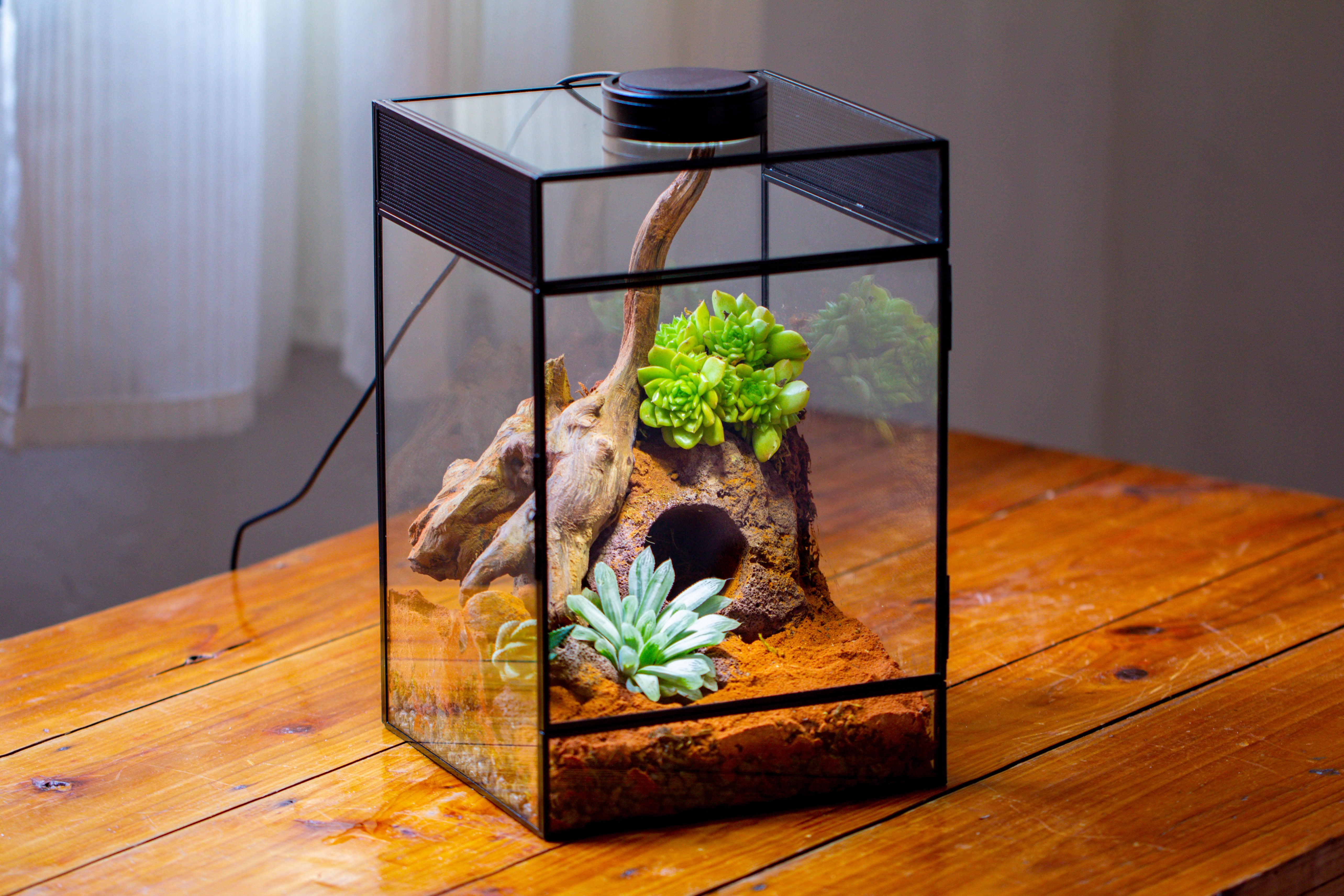 8x8x12 inches Large Handmade Glass Geometric Terrarium with Side Vent, for large insects - NCYPgarden