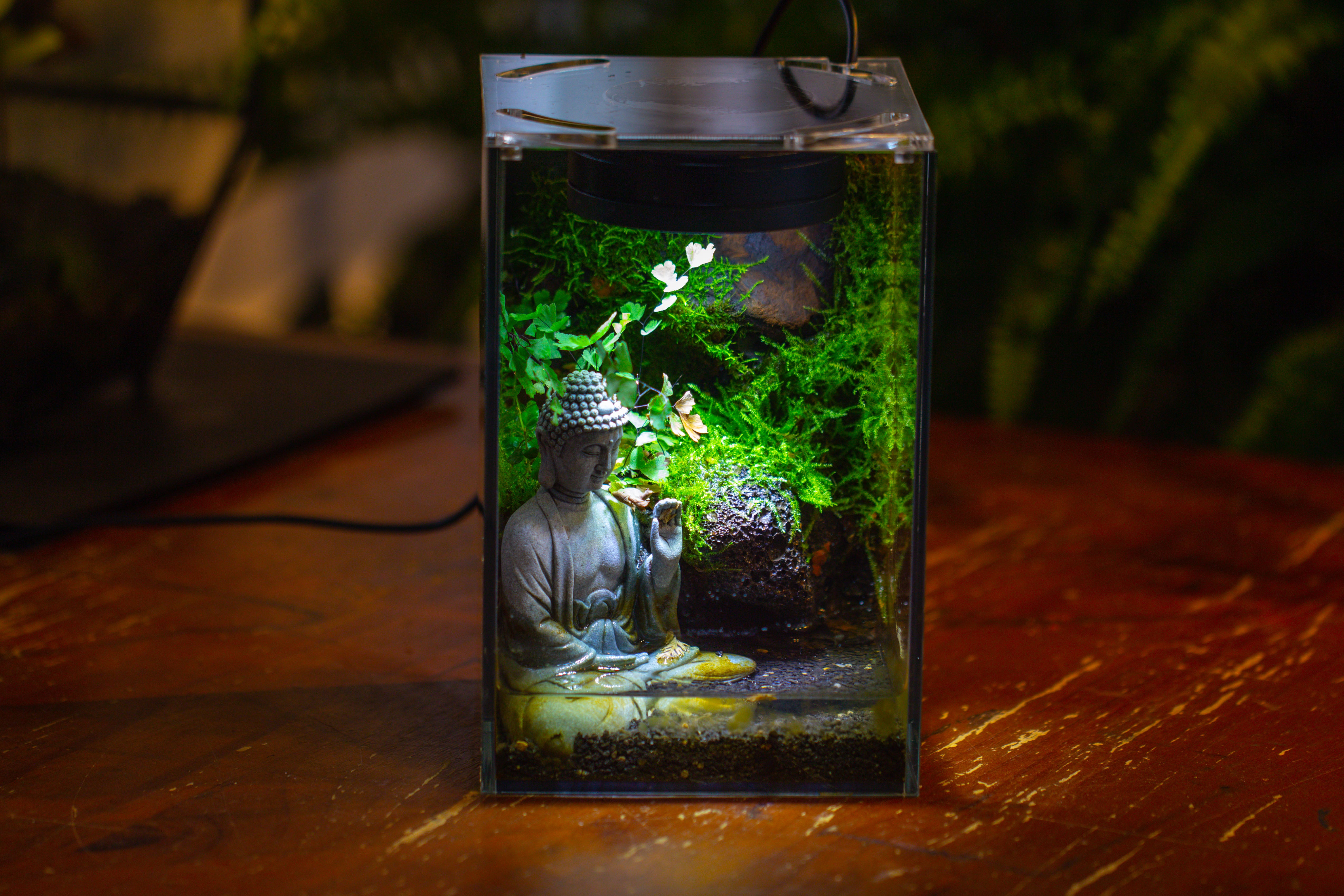 Watertight Glass Terrarium with LED Grow Light, Acrylic Lid for Moss Wall, vertical planting-12x12x18cm / 4.7x4.7x7.1'' - NCYPgarden