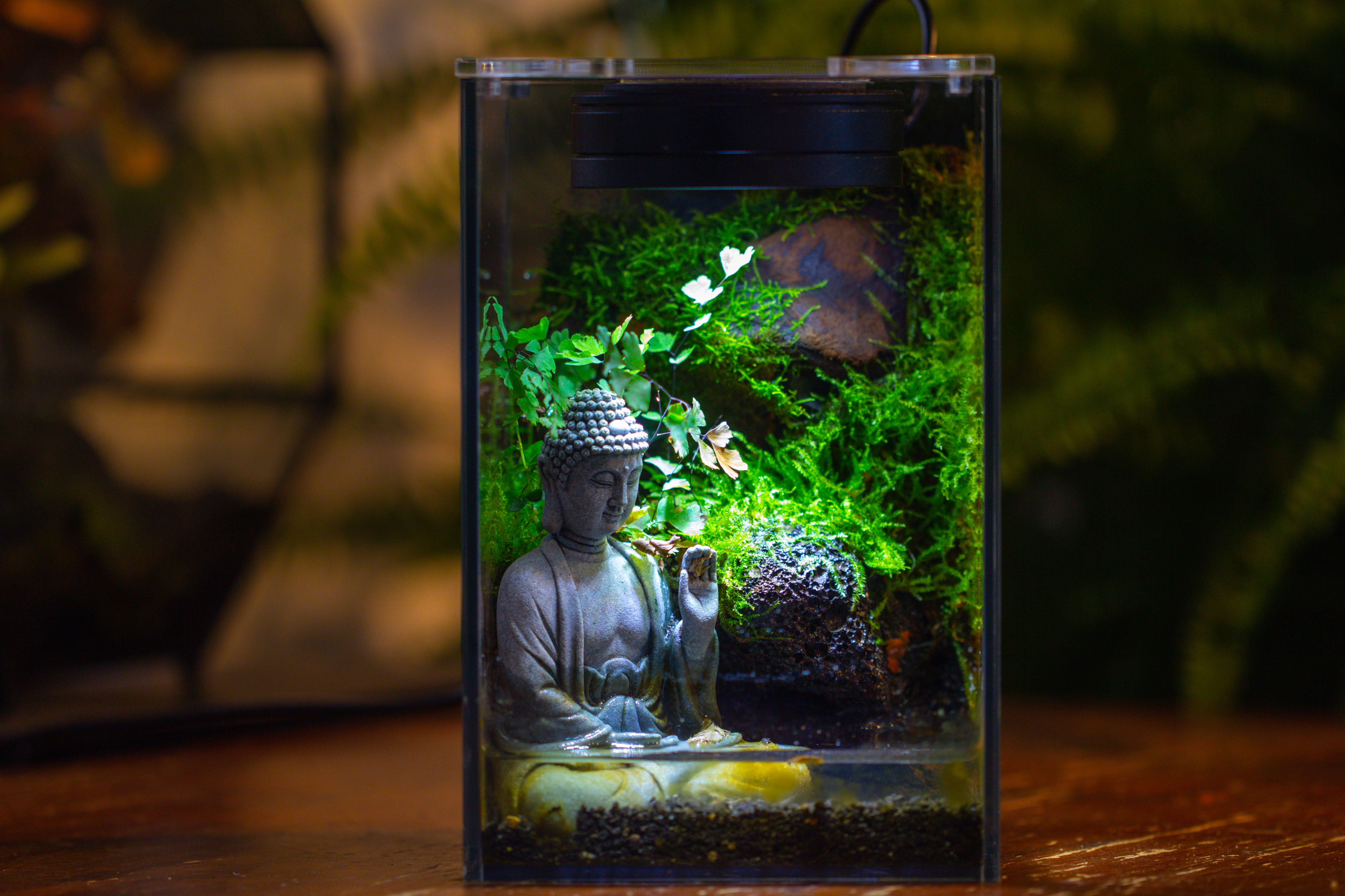 Watertight Glass Terrarium with LED Grow Light, Acrylic Lid for Moss Wall, vertical planting-12x12x18cm / 4.7x4.7x7.1'' - NCYPgarden