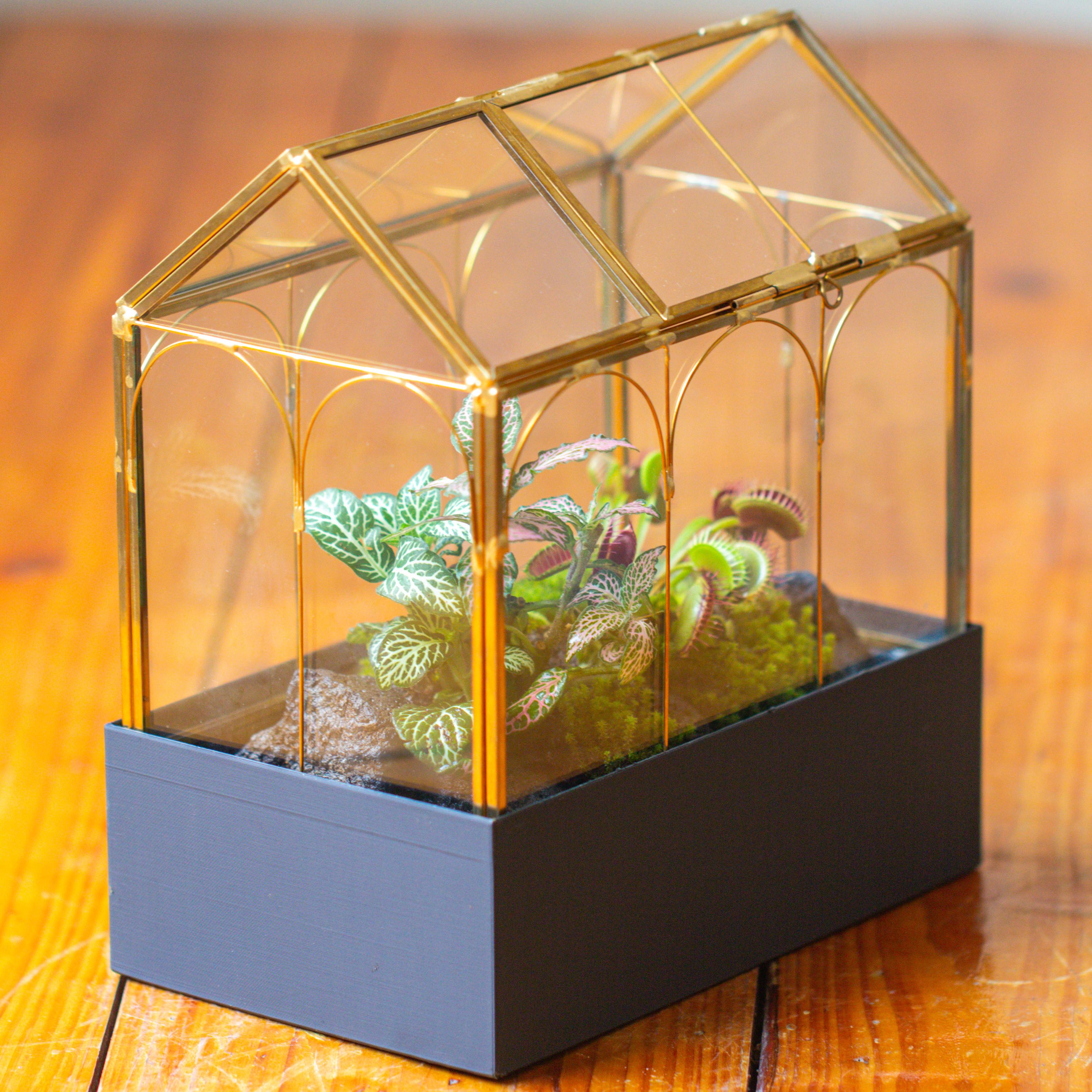 8" Vintage Gold  Greenhouse Glass Terrarium with Water-Holding Base and Top Door