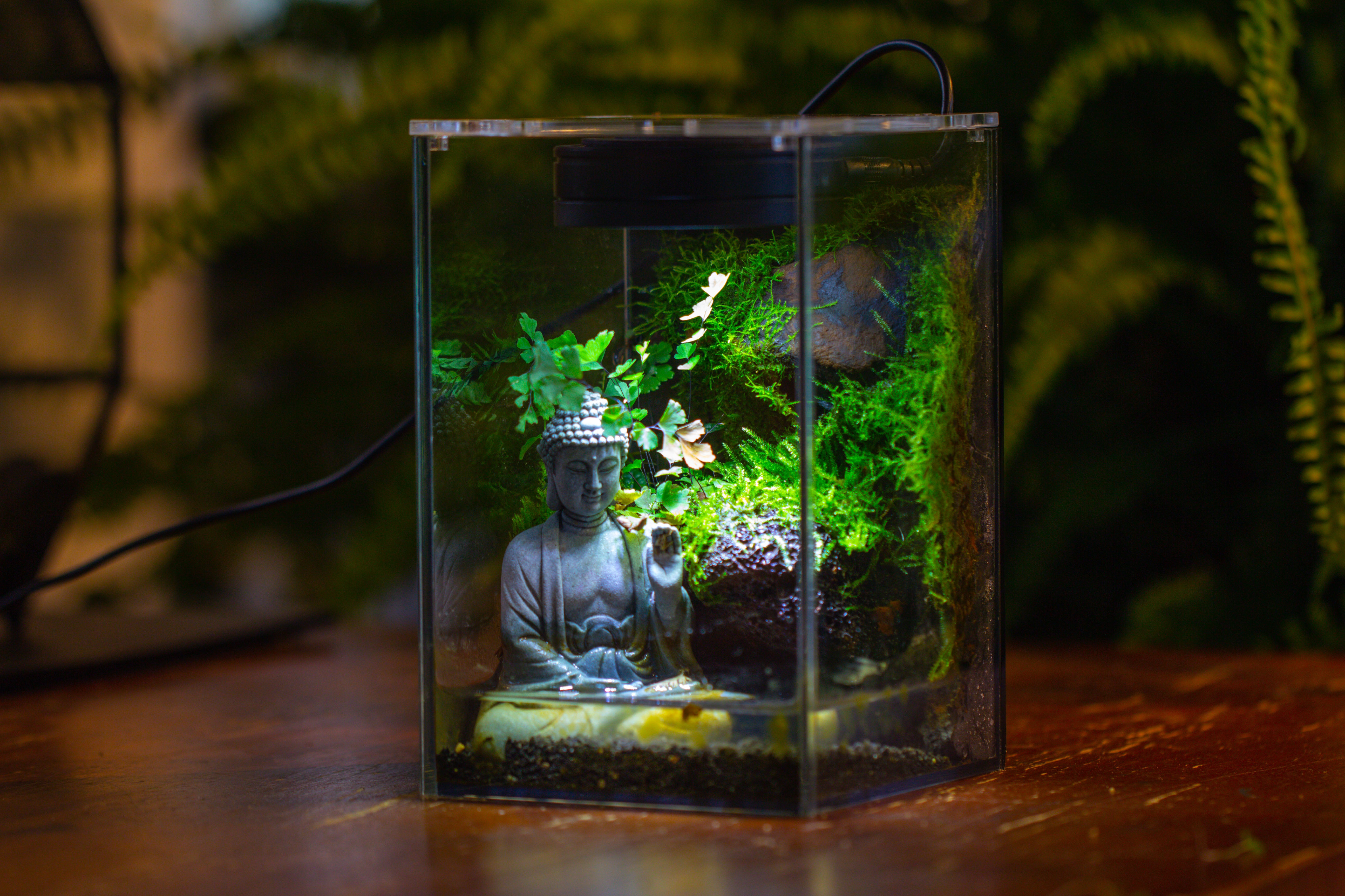 Watertight Glass Terrarium with LED Grow Light, Acrylic Lid for Moss Wall, vertical planting-12x12x18cm / 4.7x4.7x7.1'' - NCYPgarden