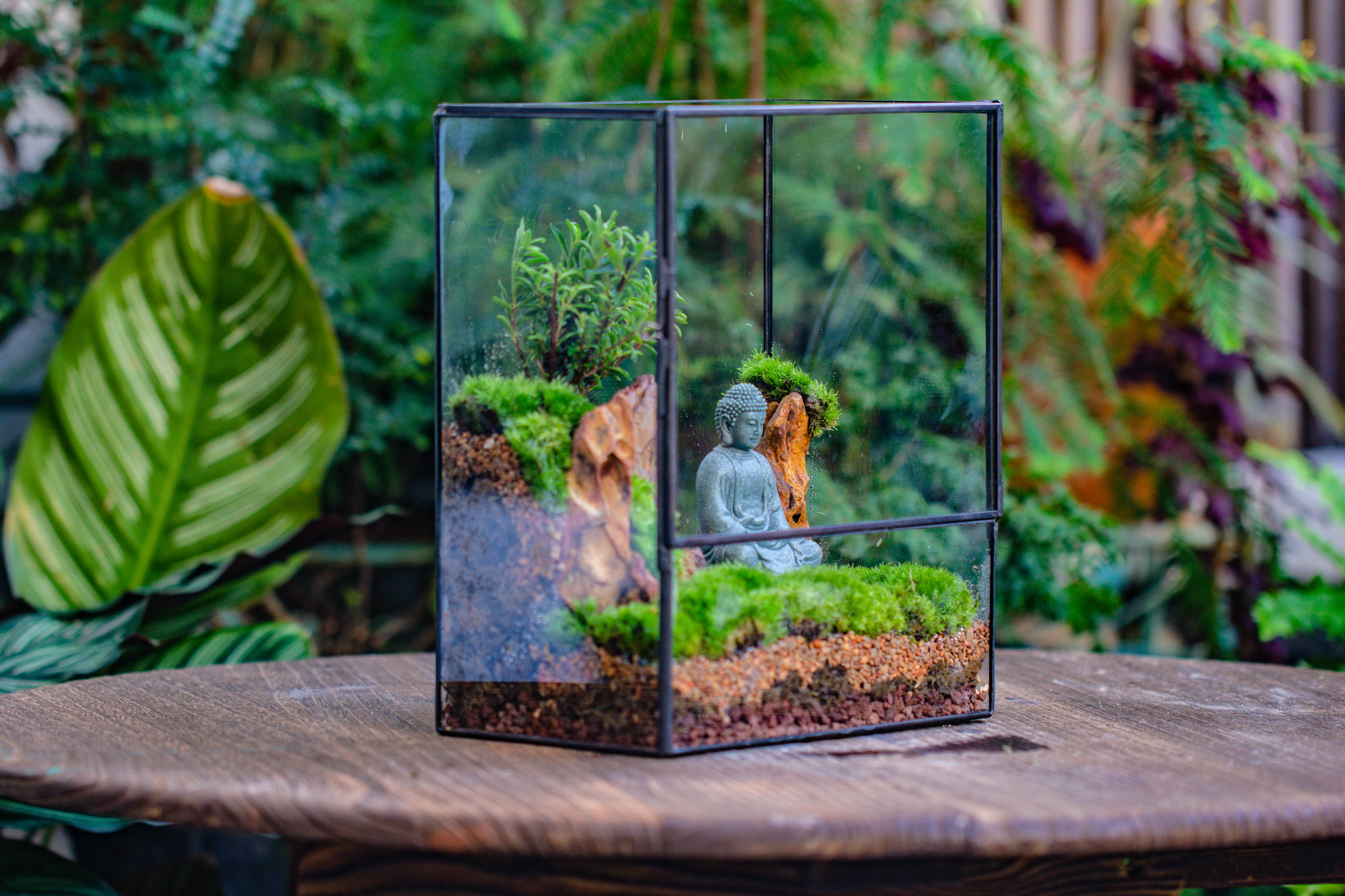 Close Geometric Glass Tin Terrarium , 8x10" and Buddha, rock, Micro Landscape Moss Terrarium Building DIY set No plants, Customizable - NCYPgarden