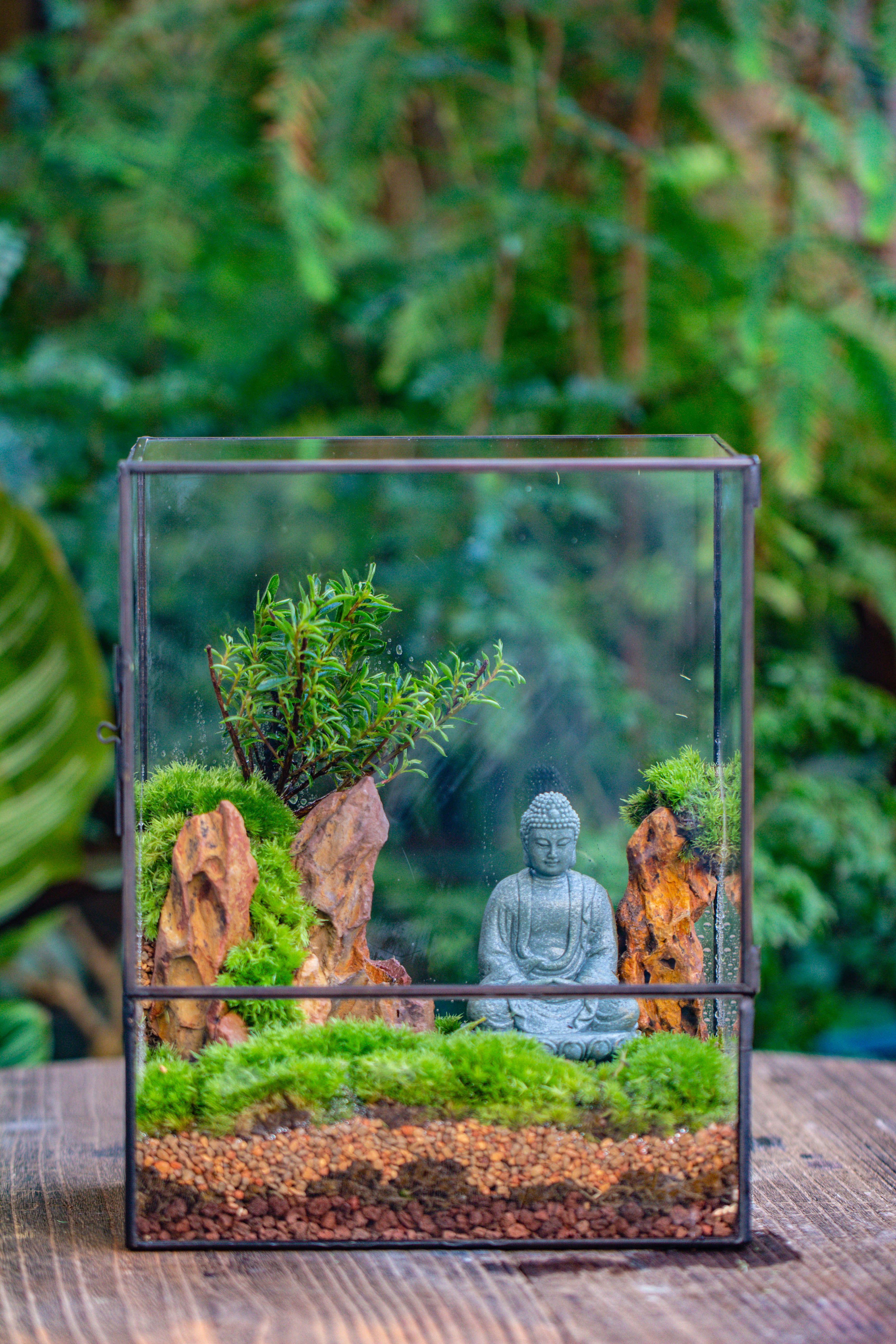 Close Geometric Glass Tin Terrarium , 8x10" and Buddha, rock, Micro Landscape Moss Terrarium Building DIY set No plants, Customizable - NCYPgarden