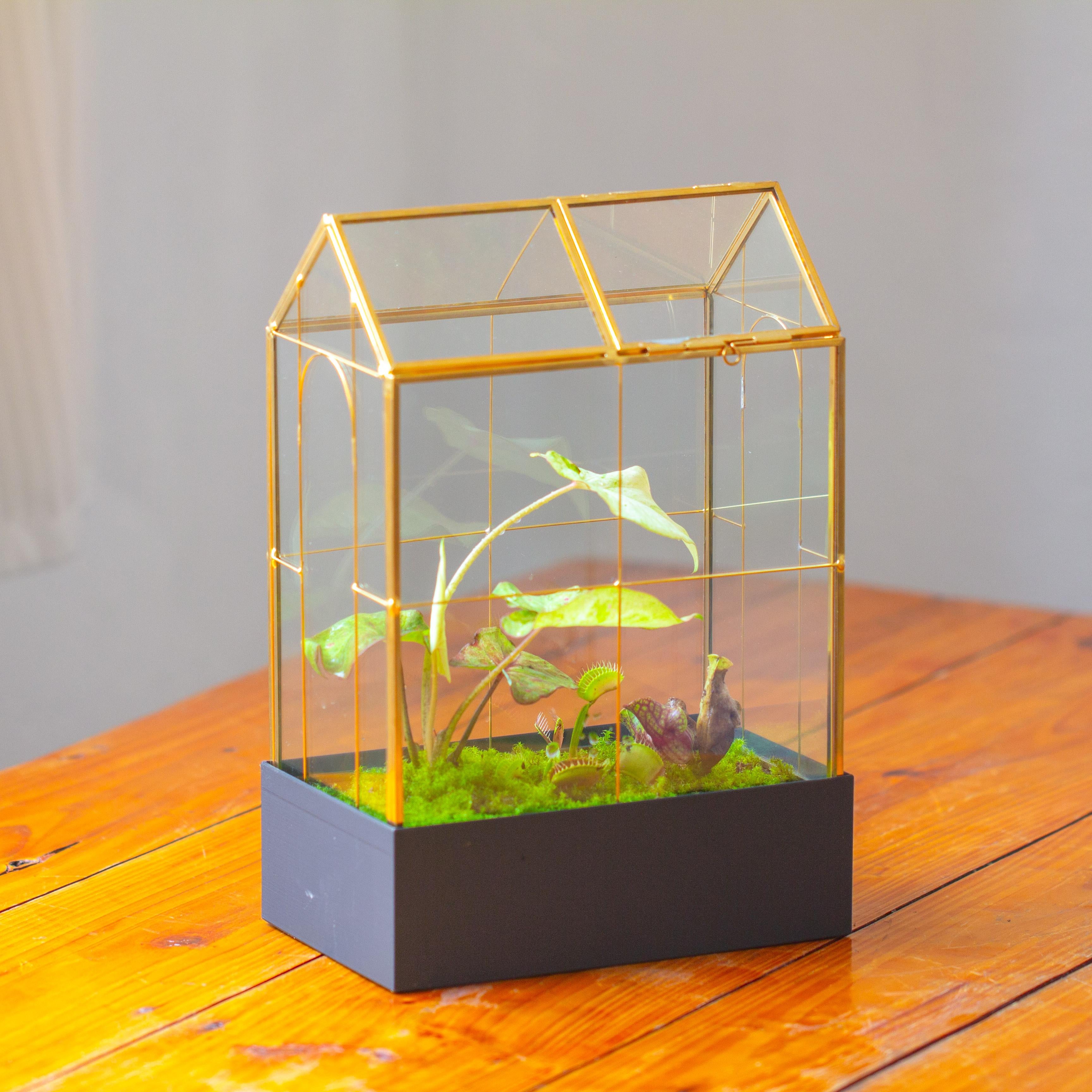 11" Gold Tall Vintage Greenhouse Glass Terrarium with Water-Holding Base and Top Door