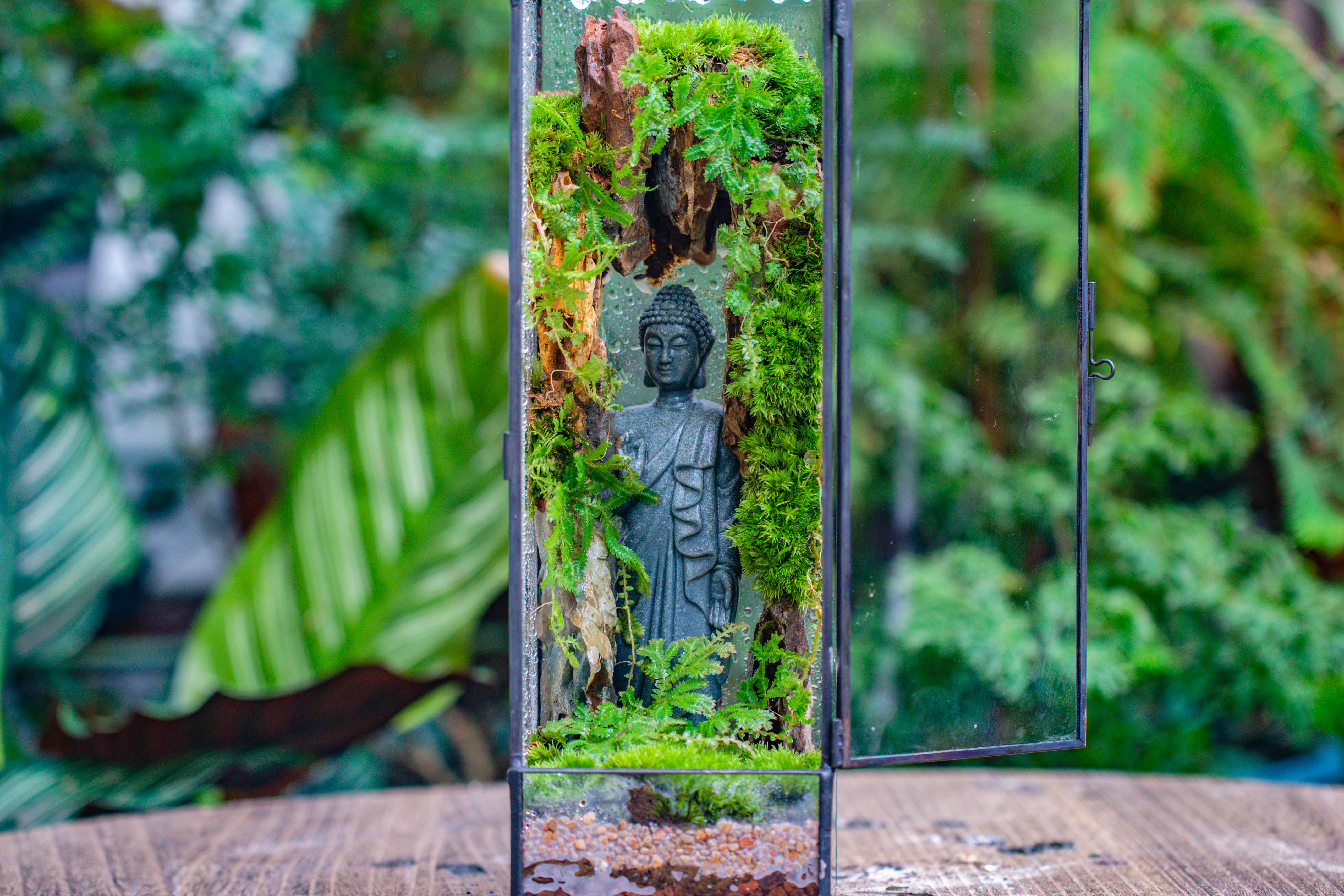 NCYP Close 11.8" Tall Geometric Glass Terrarium with Door DIY set, with Buddha, Dragon rocks, Planting Materials - NCYPgarden