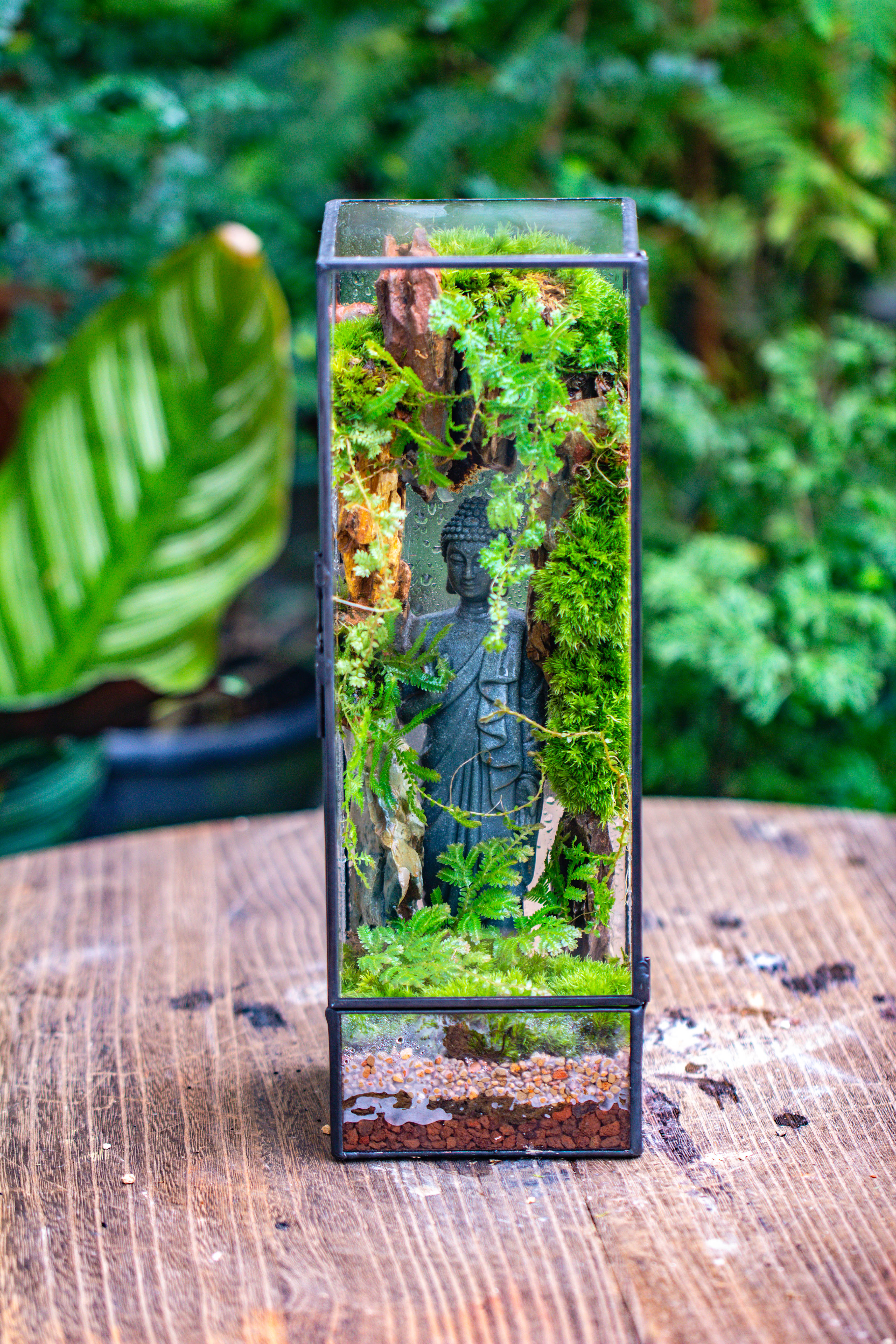 NCYP Close 11.8" Tall Geometric Glass Terrarium with Door DIY set, with Buddha, Dragon rocks, Planting Materials - NCYPgarden