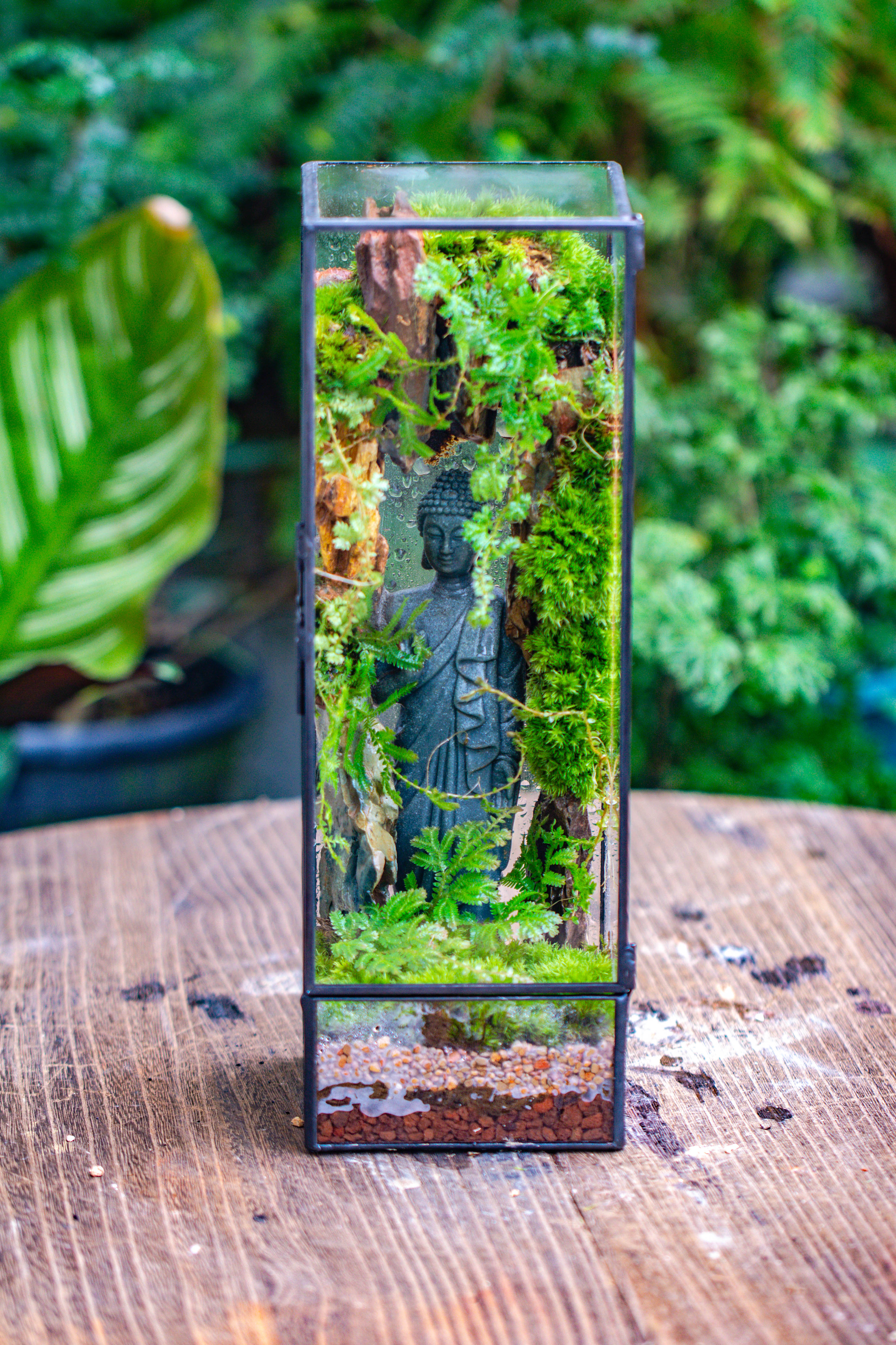 NCYP Close 11.8" Tall Geometric Glass Terrarium with Door DIY set, with Buddha, Dragon rocks, Planting Materials - NCYPgarden