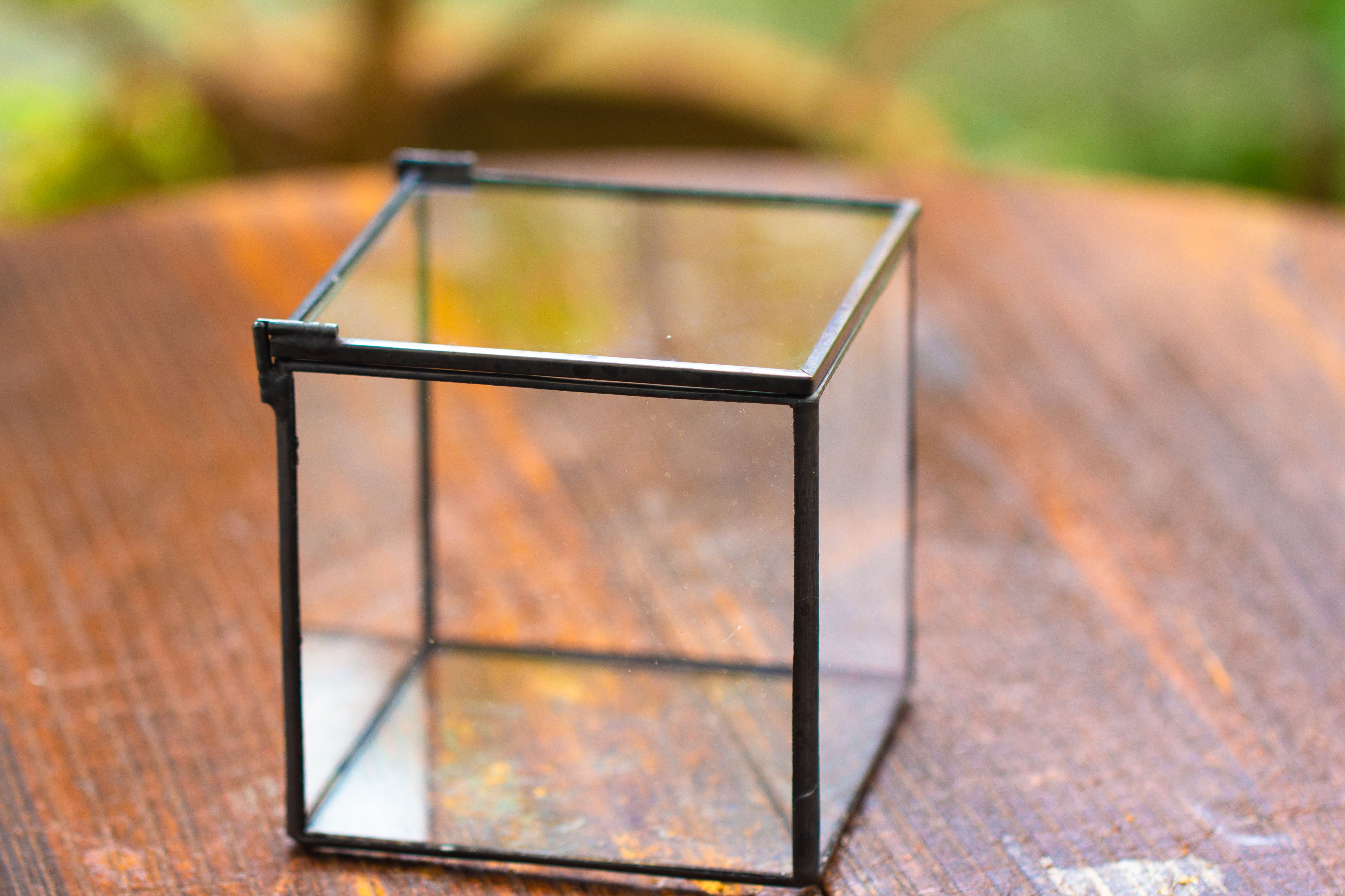 Cube Mini 4 inches Moss Geometric Glass Terrarium DIY Set - NCYPgarden