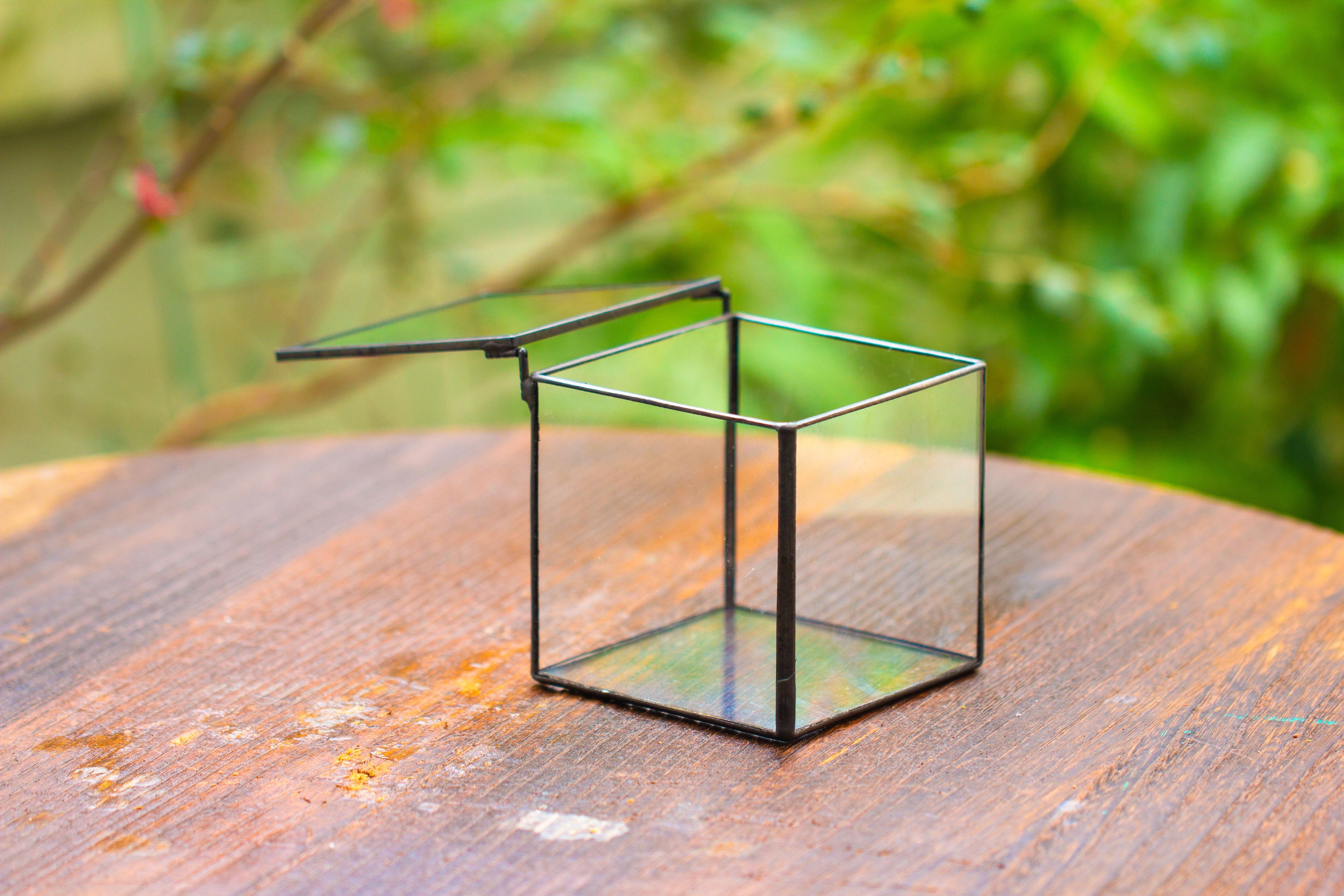 Cube Mini 4 inches Moss Geometric Glass Terrarium DIY Set - NCYPgarden