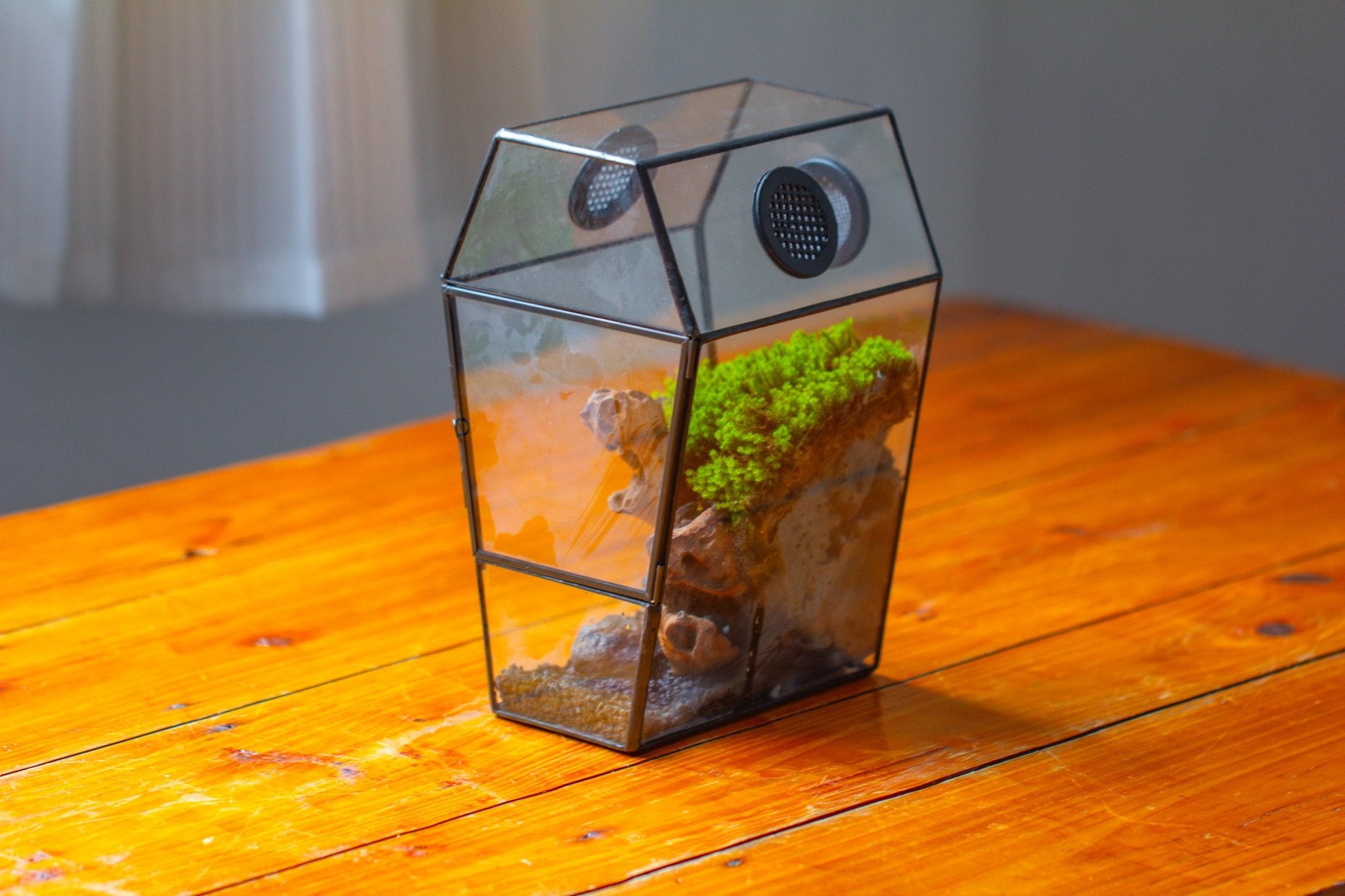 Coffin-Shaped Tin Glass Terrarium Enclosure, Gothic Style, for Jumping Spider, Insects, Snails PK01D2 - NCYPgarden