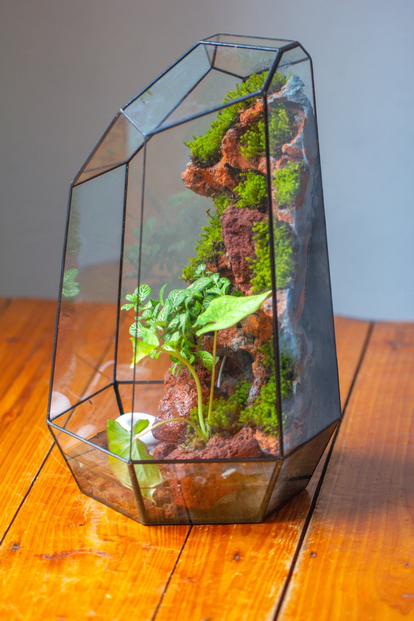 Handmade Extra Large Tall Irregular Glass Geometric Terrarium，Open, Waterproof, with Wire hole - NCYPgarden