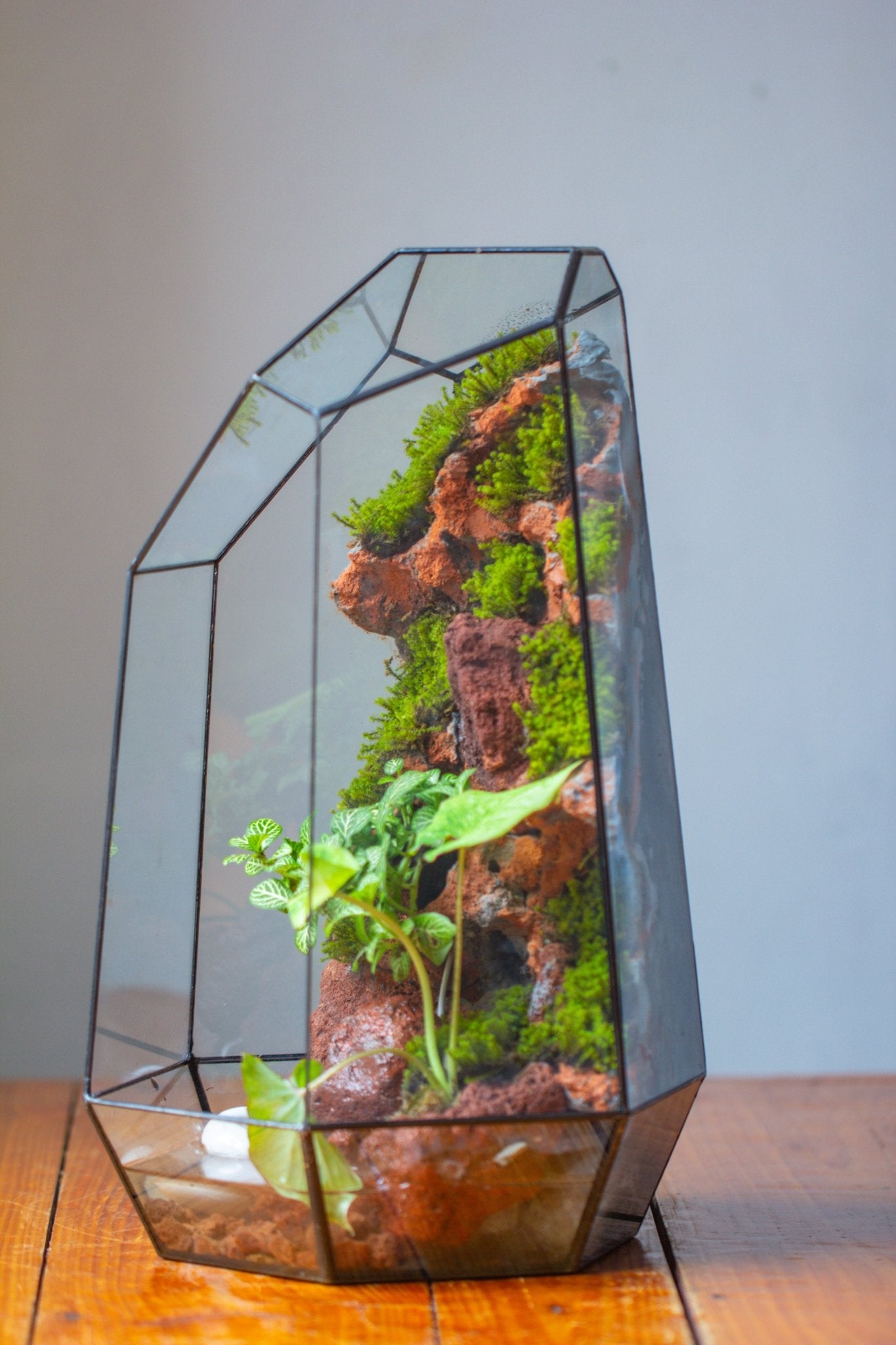 Handmade Extra Large Tall Irregular Glass Geometric Terrarium，Open, Waterproof, with Wire hole - NCYPgarden