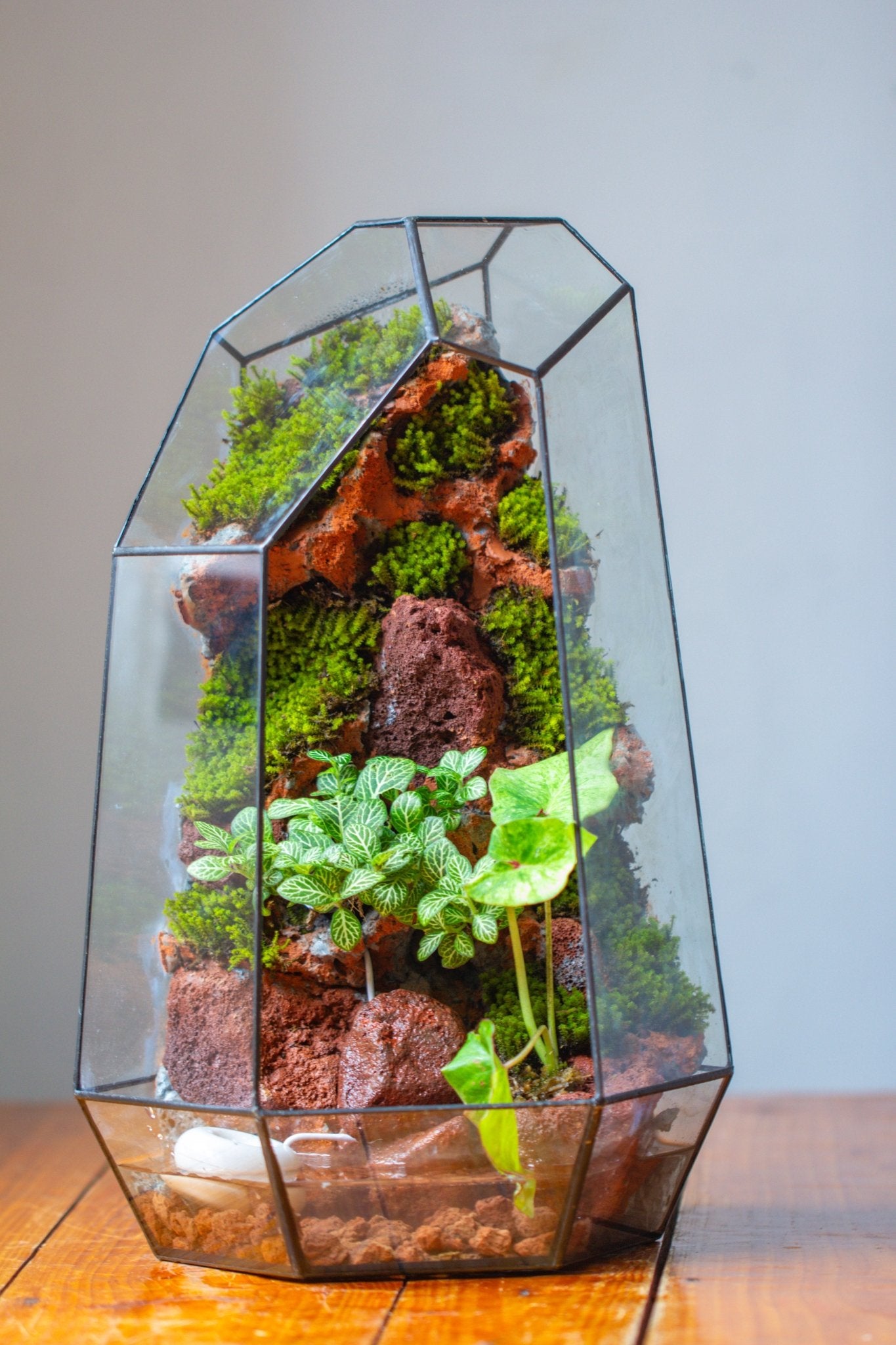 Handmade Extra Large Tall Irregular Glass Geometric Terrarium，Open, Waterproof, with Wire hole - NCYPgarden