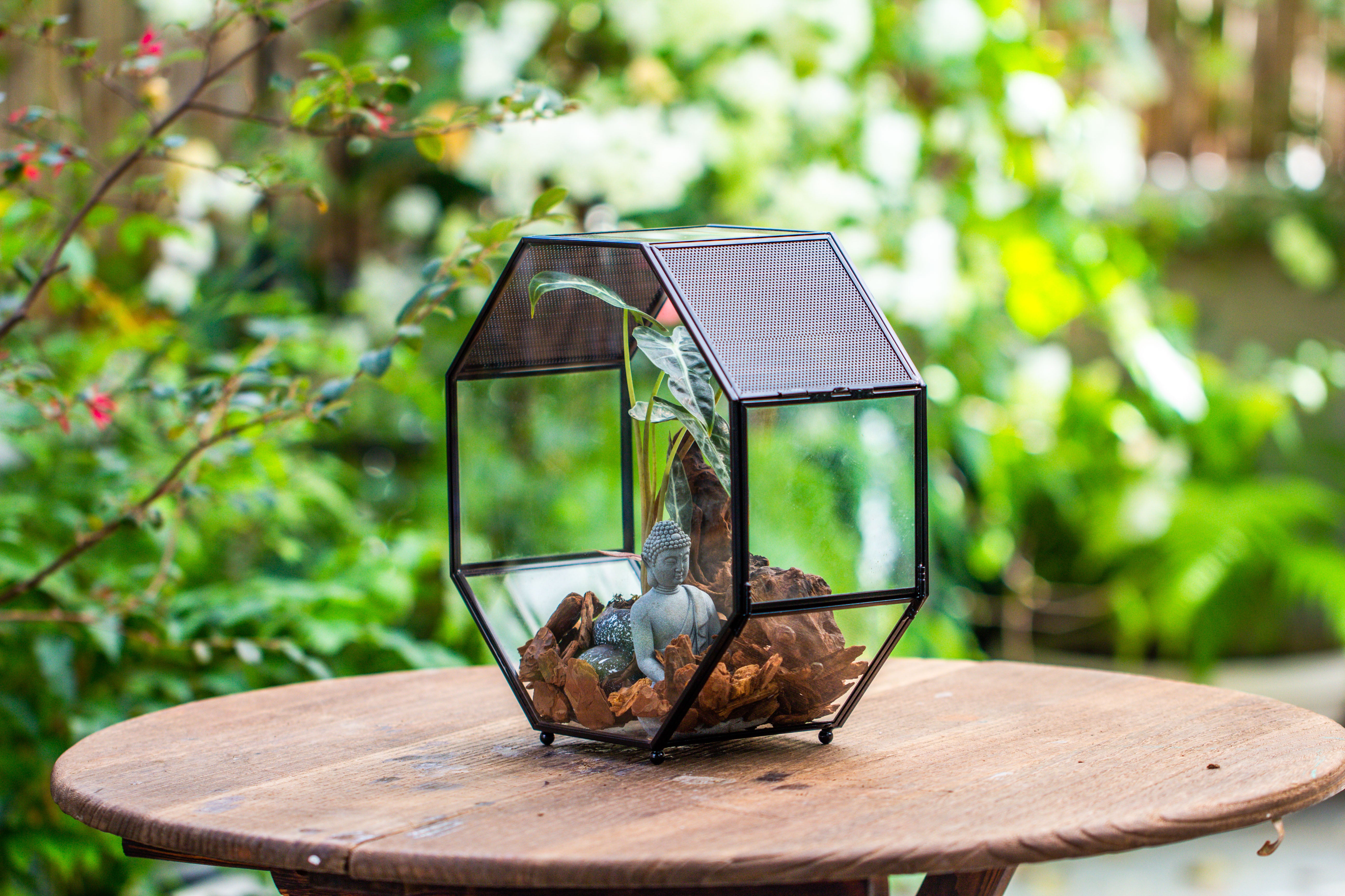 Handmade Octagon Glass Geometric Terrarium with Side Vent, Spider Terrarium, Jumping Spider/Snail Terrarium, Jumping Spider Enclosure - NCYPgarden