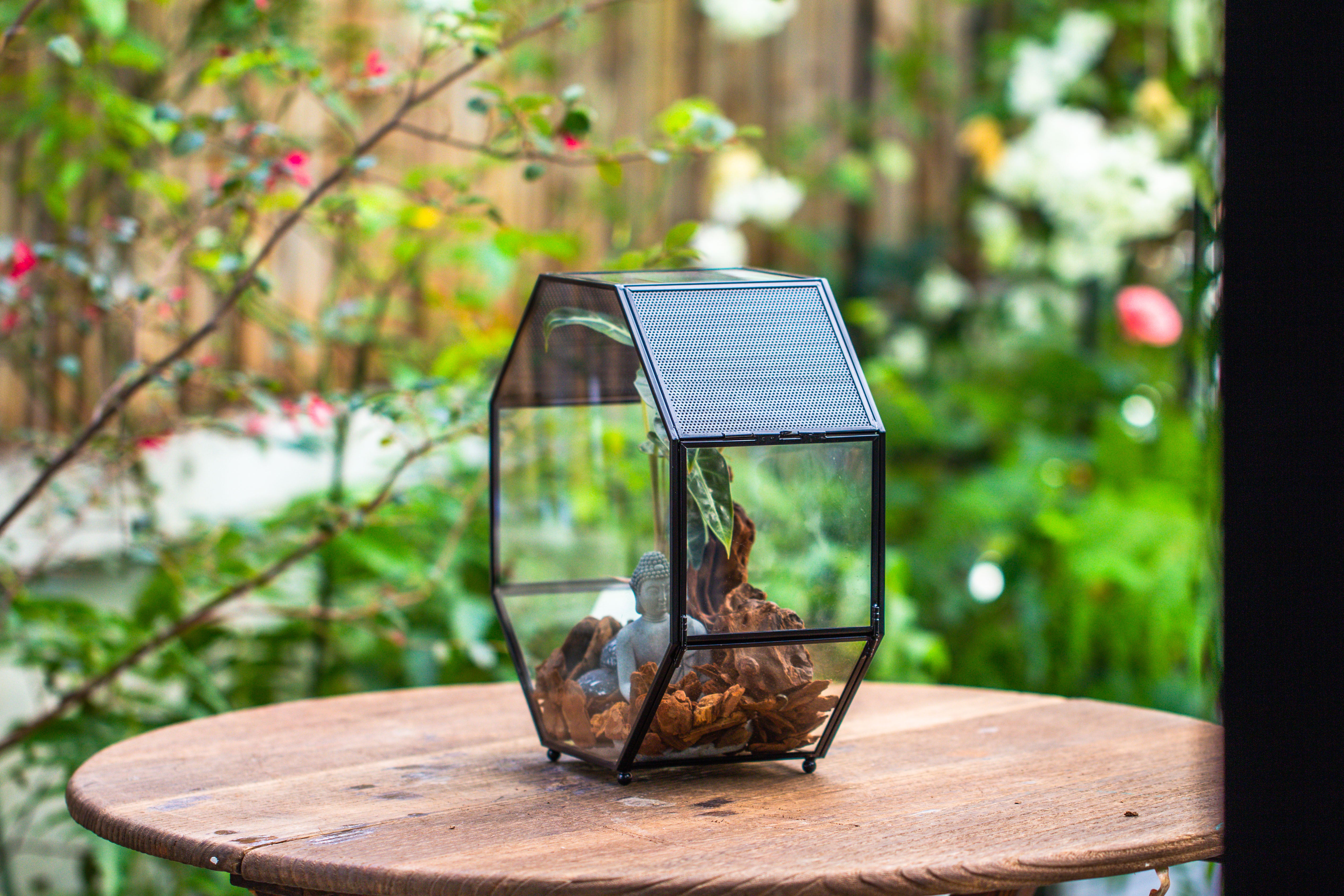 Handmade Octagon Glass Geometric Terrarium with Side Vent, Spider Terrarium, Jumping Spider/Snail Terrarium, Jumping Spider Enclosure - NCYPgarden