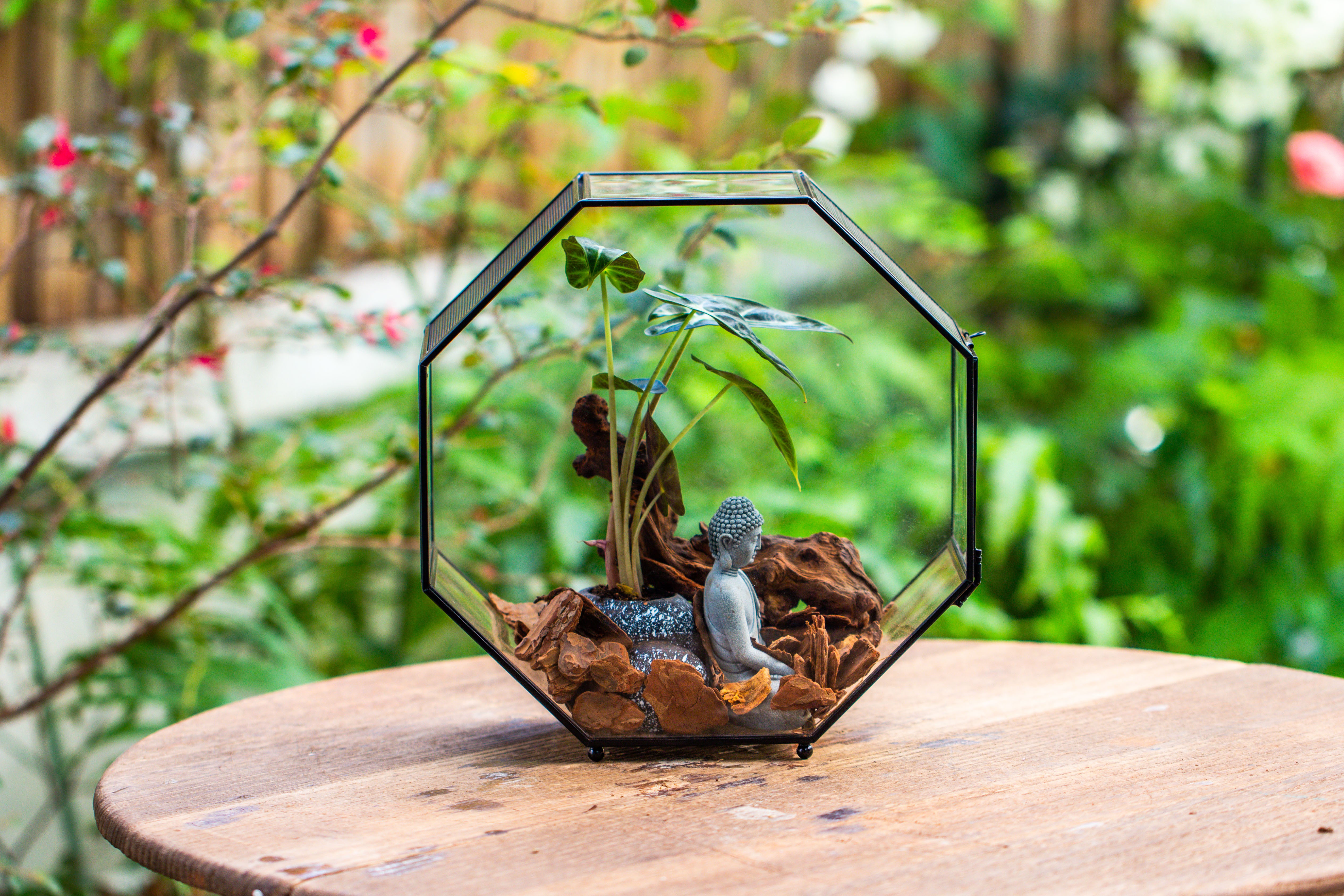 Handmade Octagon Glass Geometric Terrarium with Side Vent, Spider Terrarium, Jumping Spider/Snail Terrarium, Jumping Spider Enclosure - NCYPgarden