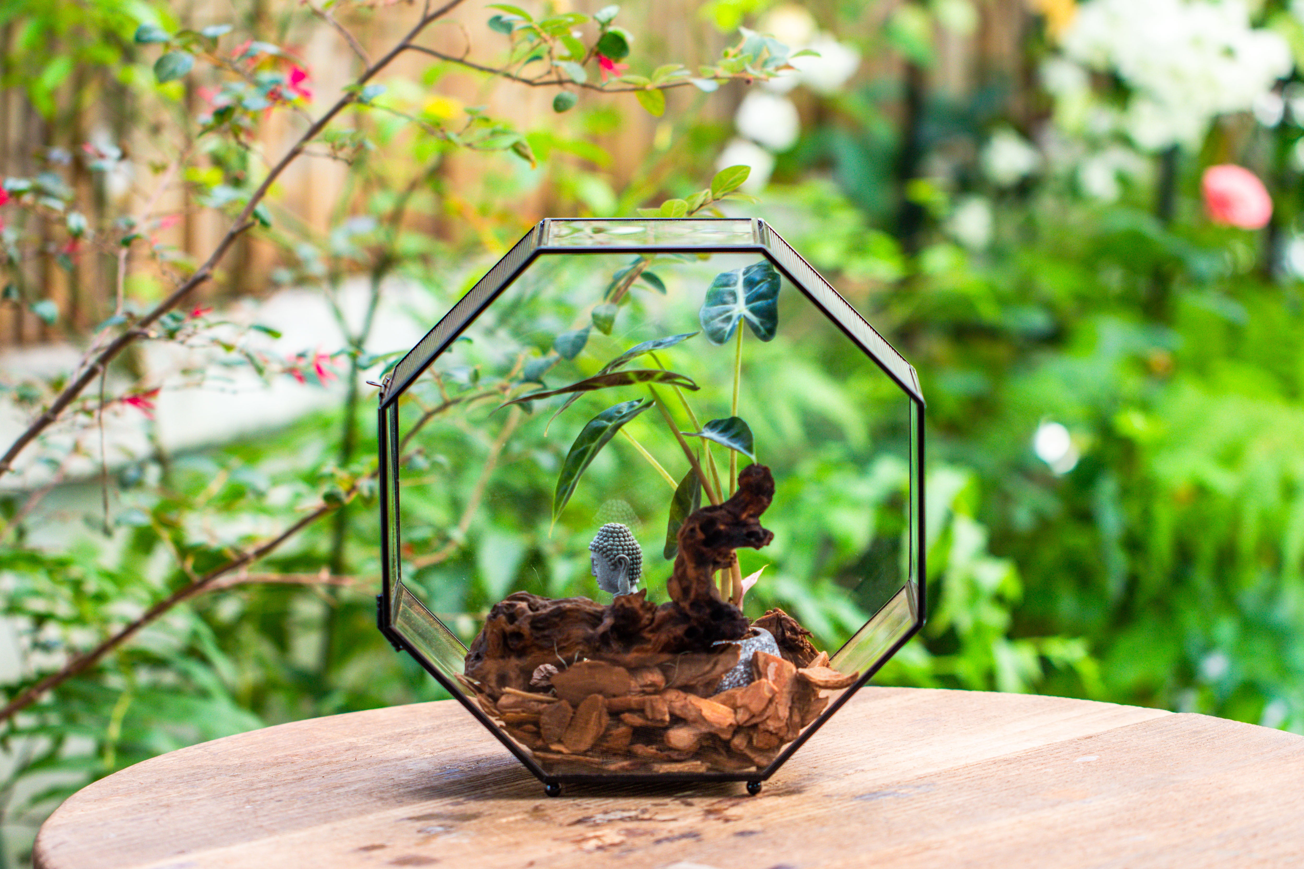 Handmade Octagon Glass Geometric Terrarium with Side Vent, Spider Terrarium, Jumping Spider/Snail Terrarium, Jumping Spider Enclosure - NCYPgarden