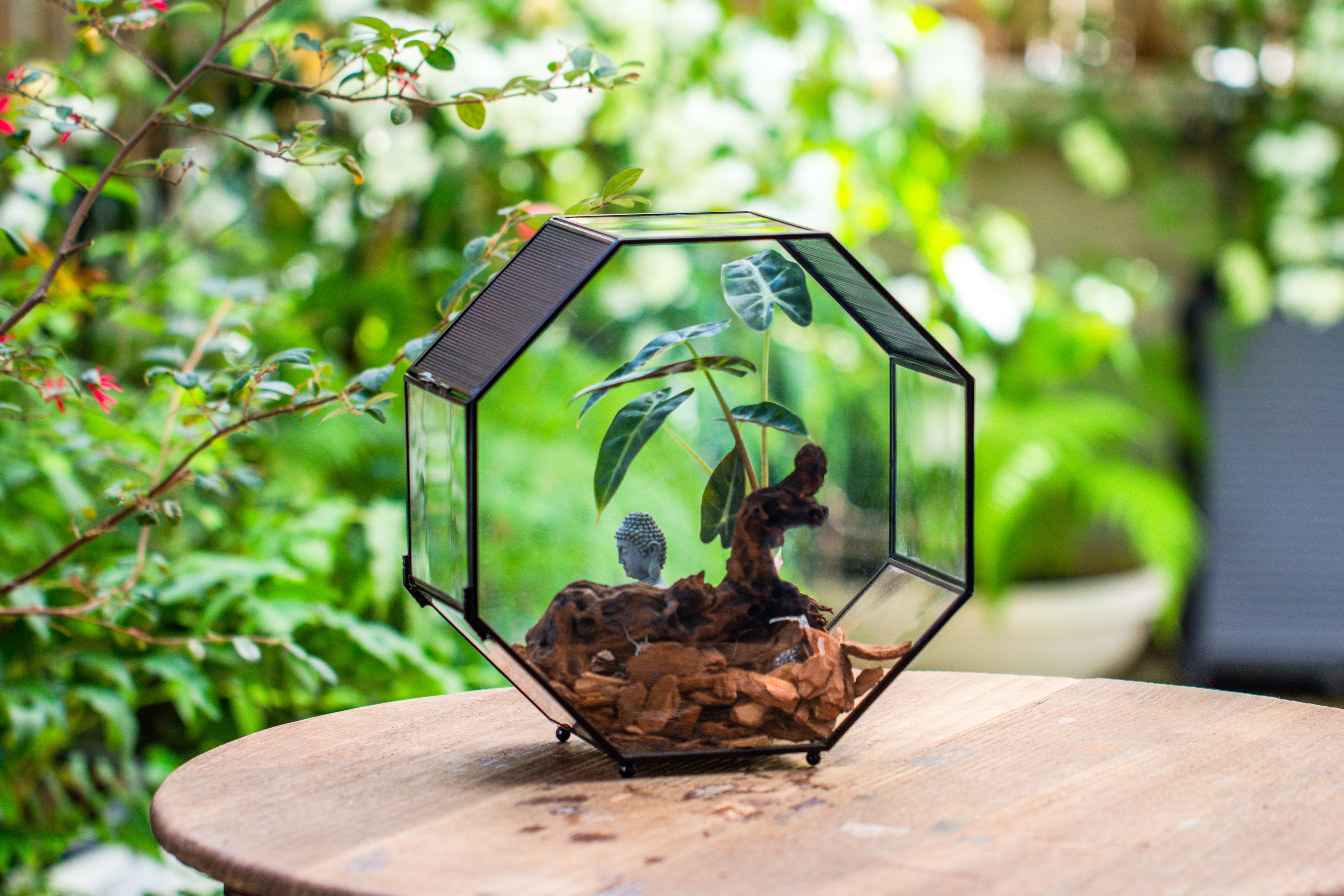 Handmade Octagon Glass Geometric Terrarium with Side Vent, Spider Terrarium, Jumping Spider/Snail Terrarium, Jumping Spider Enclosure - NCYPgarden