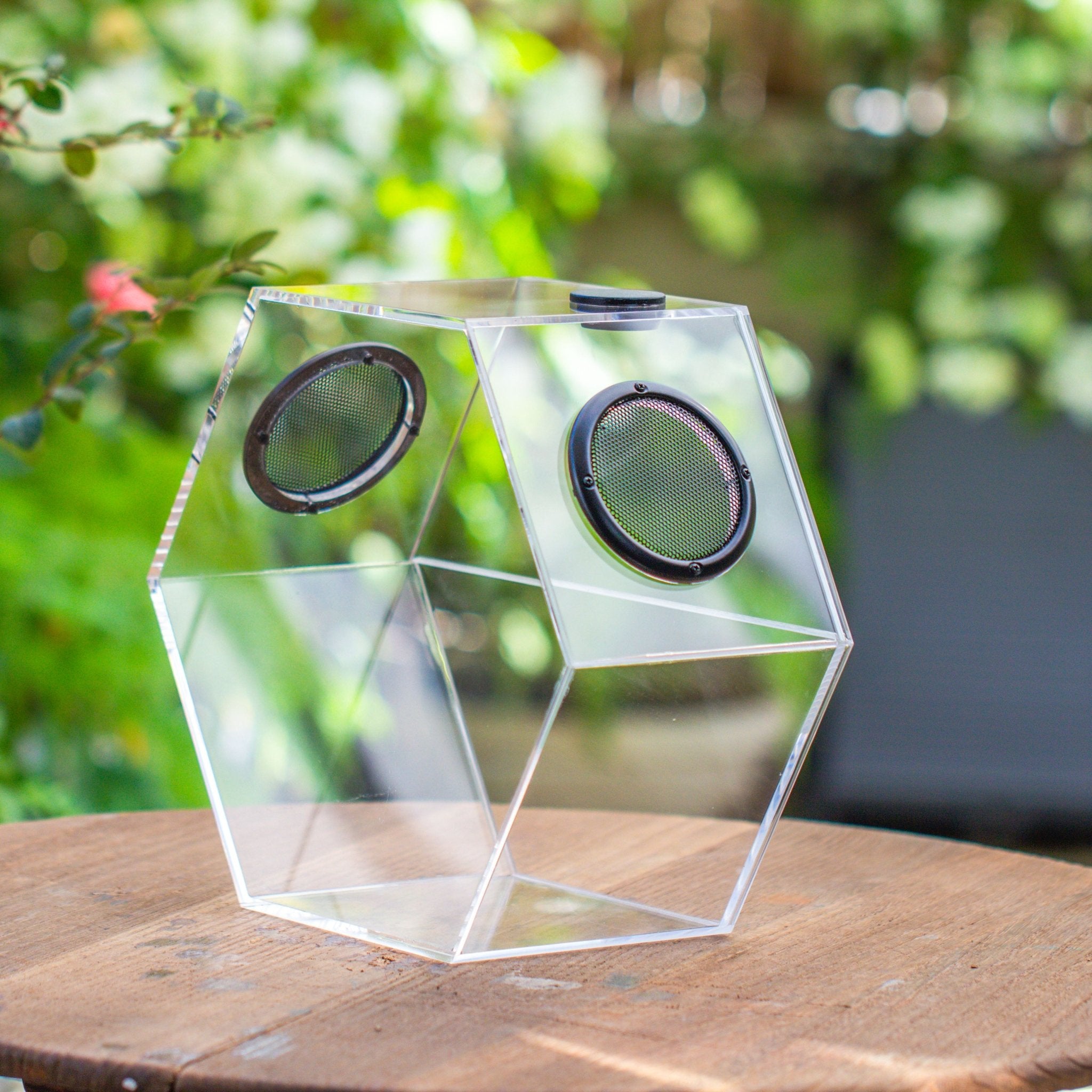 Atrium For Bug Insects terrariums – NCYPgarden