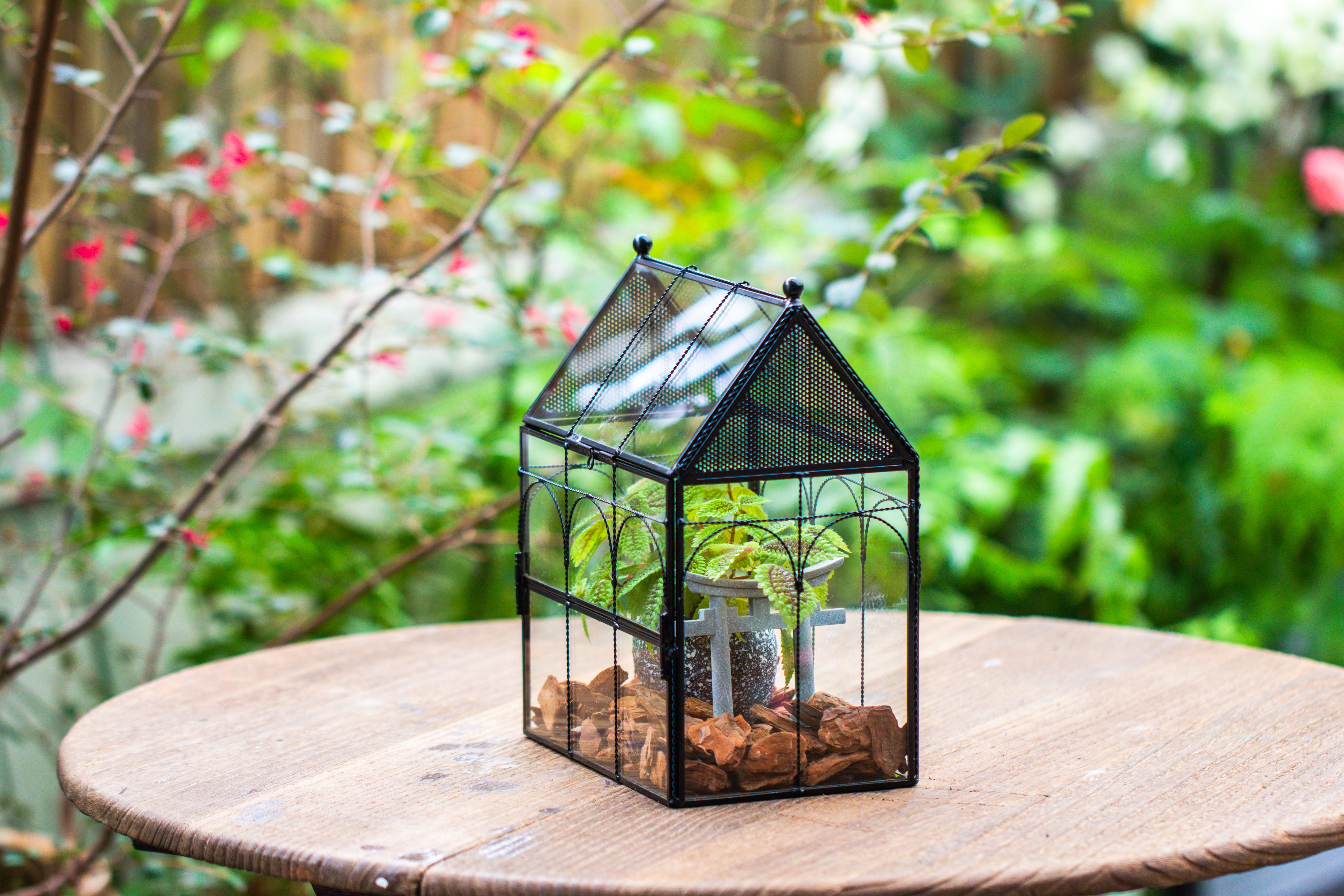 NCYP Vintage House Shape Glass Geometric Terrarium, with side door, with Mesh vent holes for small Insects Pet - NCYPgarden