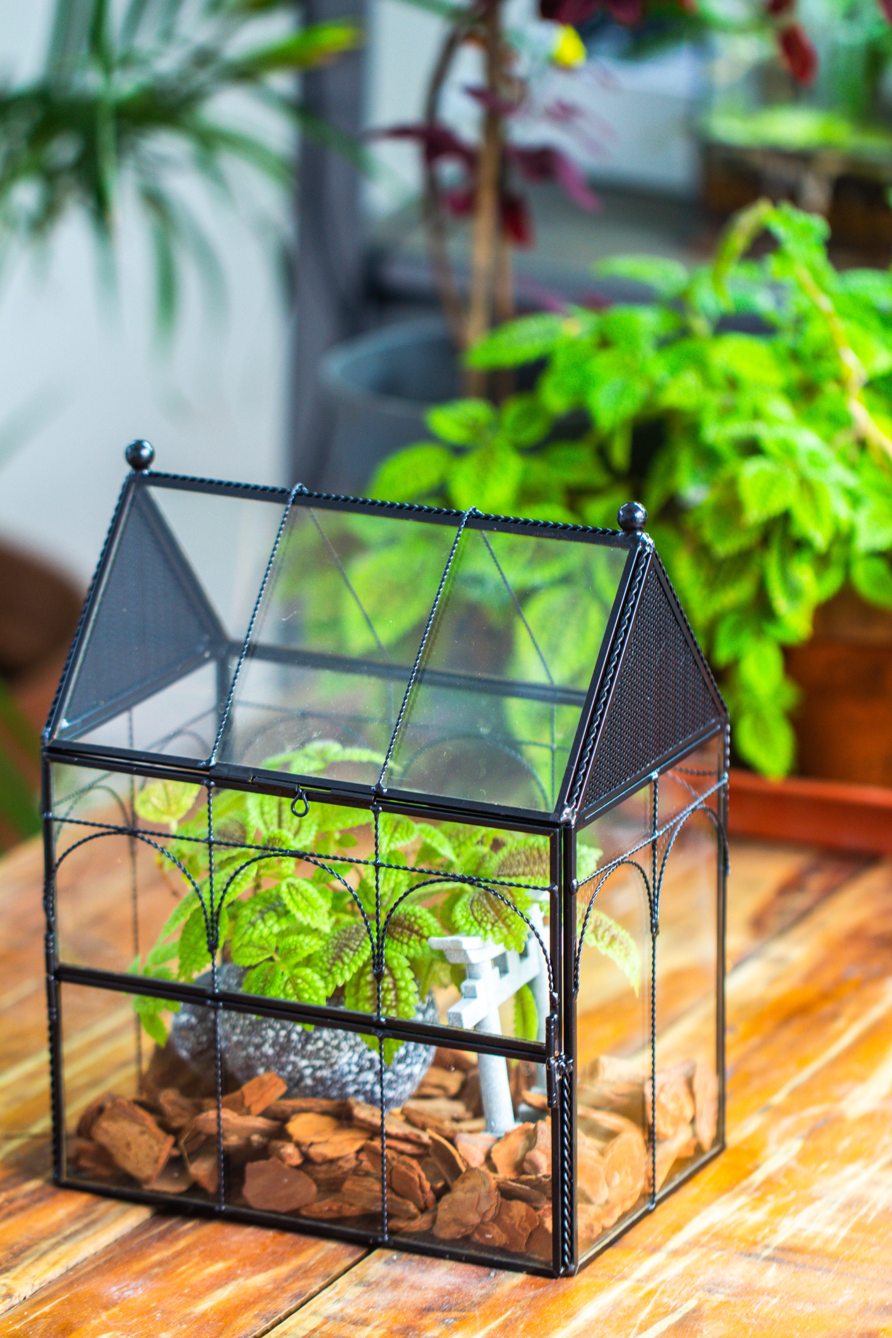 NCYP Vintage House Shape Glass Geometric Terrarium, with side door, with Mesh vent holes for small Insects Pet - NCYPgarden