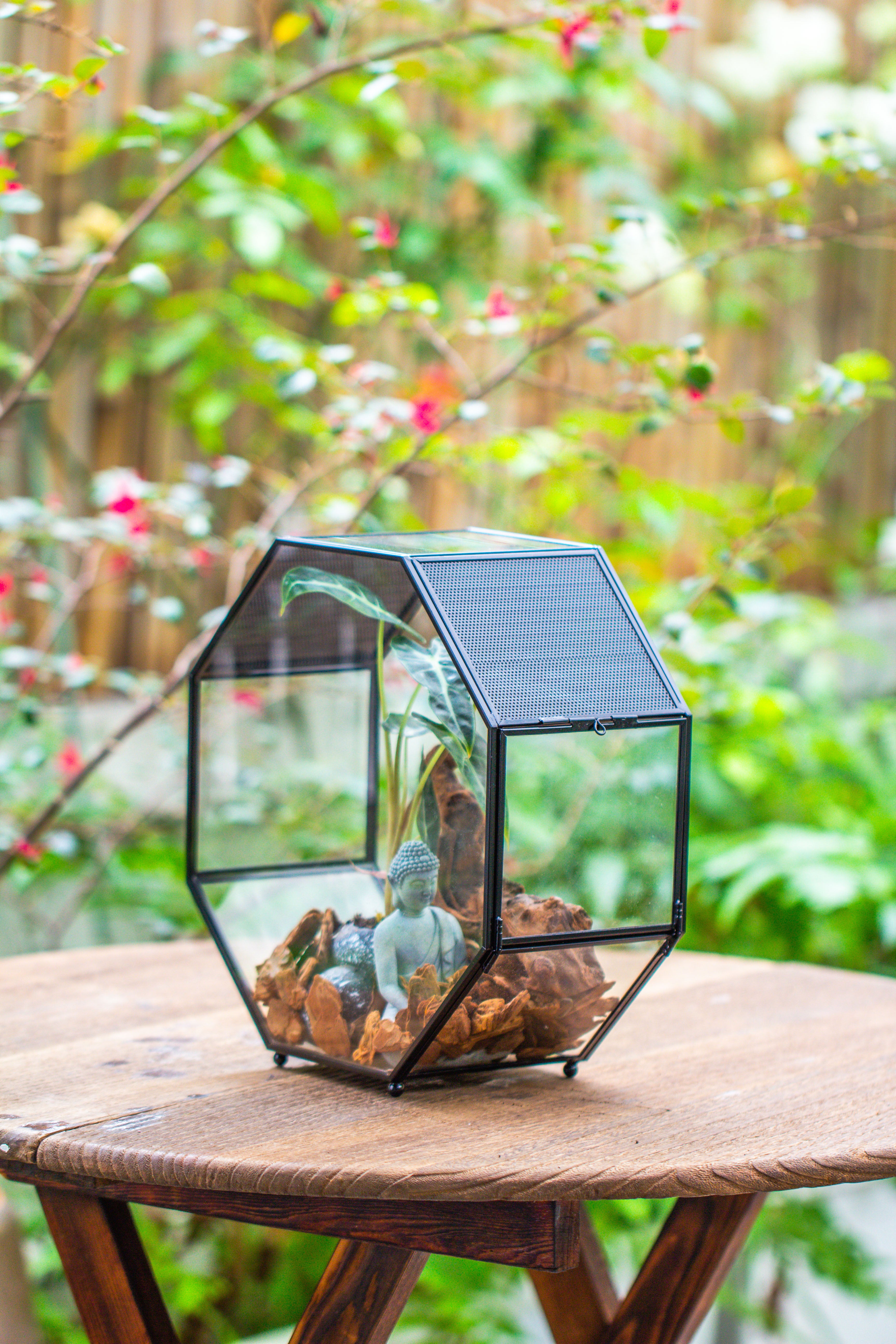 Handmade Octagon Glass Geometric Terrarium with Side Vent, Spider Terrarium, Jumping Spider/Snail Terrarium, Jumping Spider Enclosure - NCYPgarden