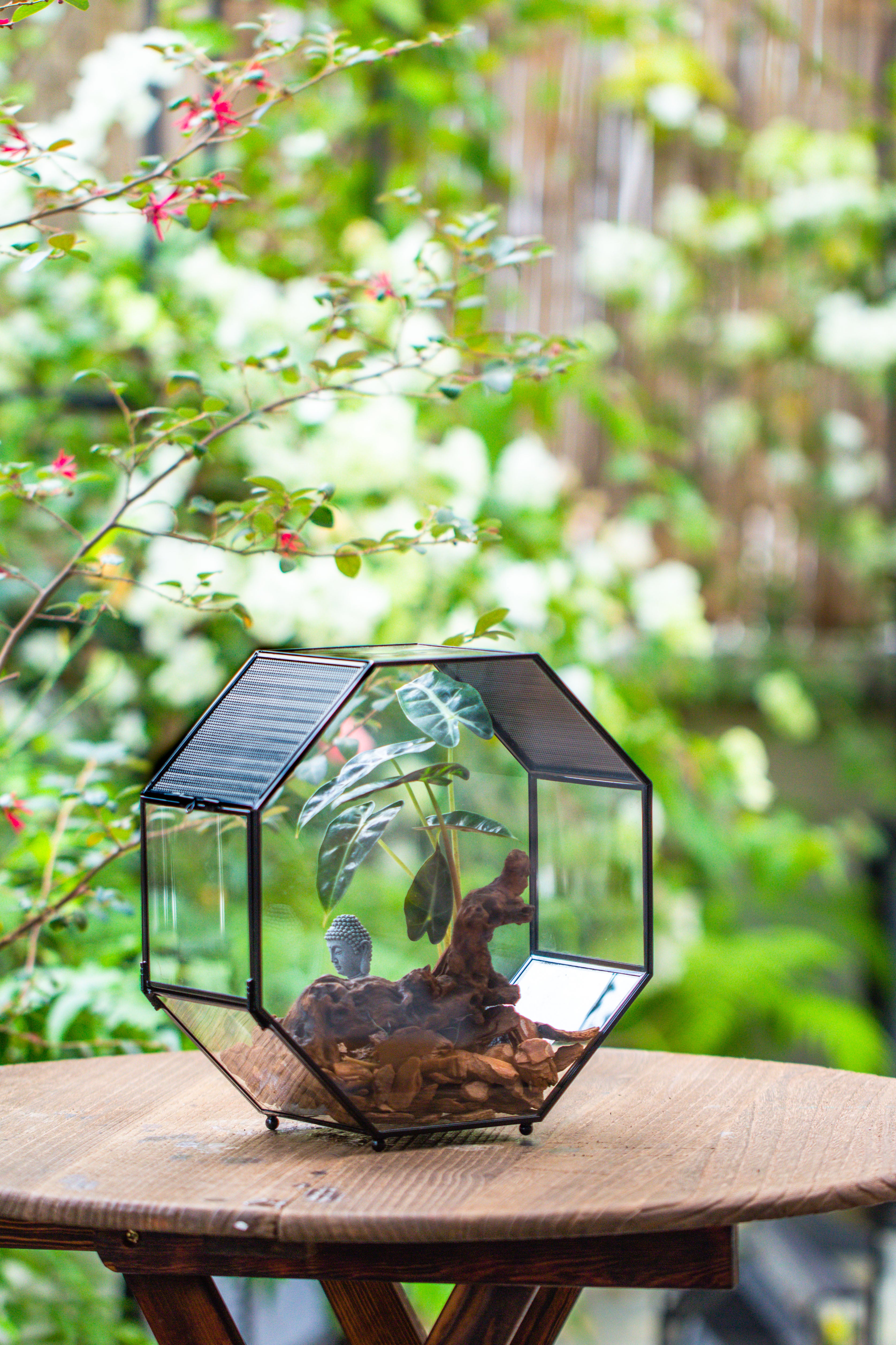 Handmade Octagon Glass Geometric Terrarium with Side Vent, Spider Terrarium, Jumping Spider/Snail Terrarium, Jumping Spider Enclosure - NCYPgarden