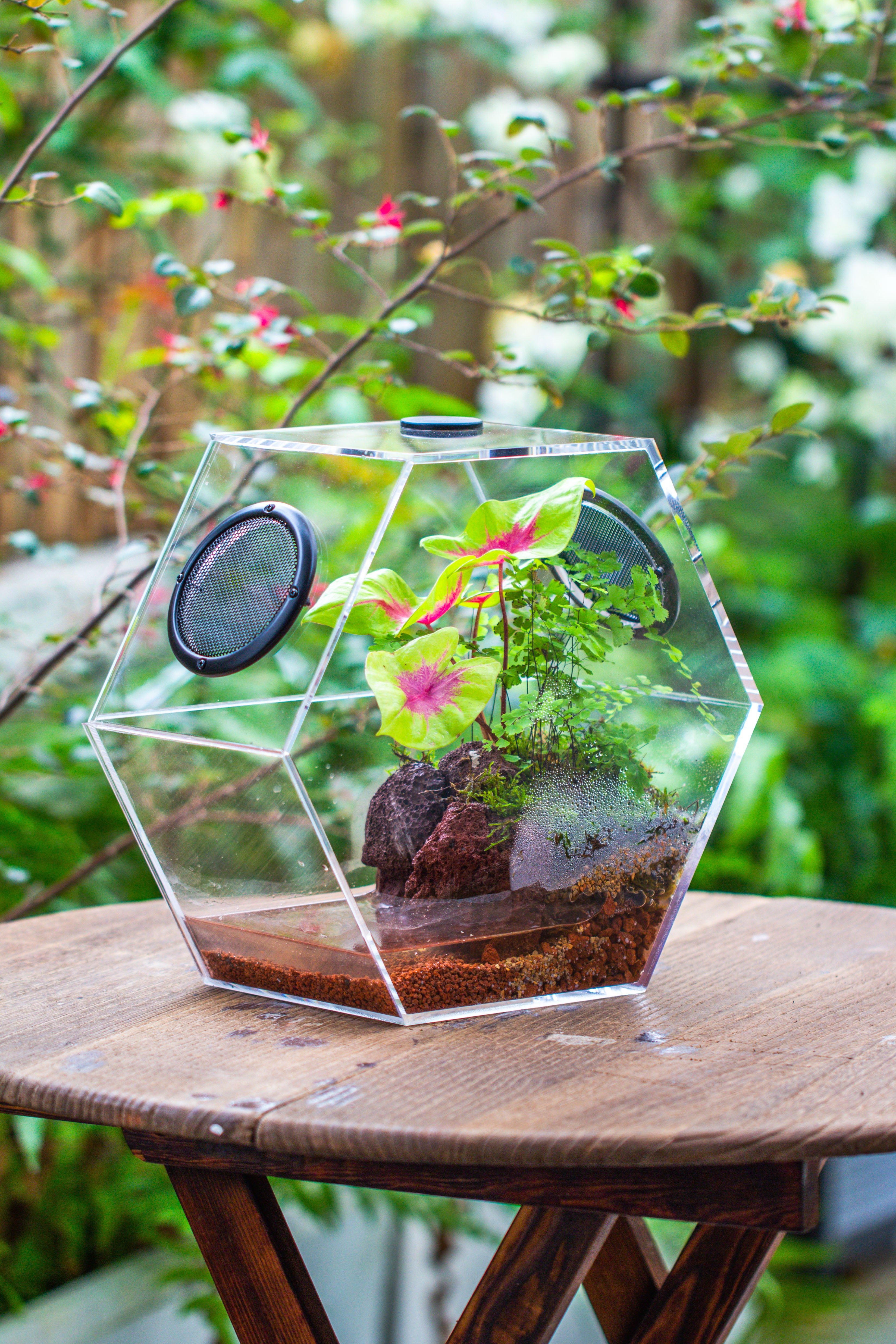 Handmade Extra Large Acrylic Hexagon Watertight Enclosure Terrarium with Mesh Vents, Feed Hole for Insects, Vivarium, Enclosure Only - NCYPgarden