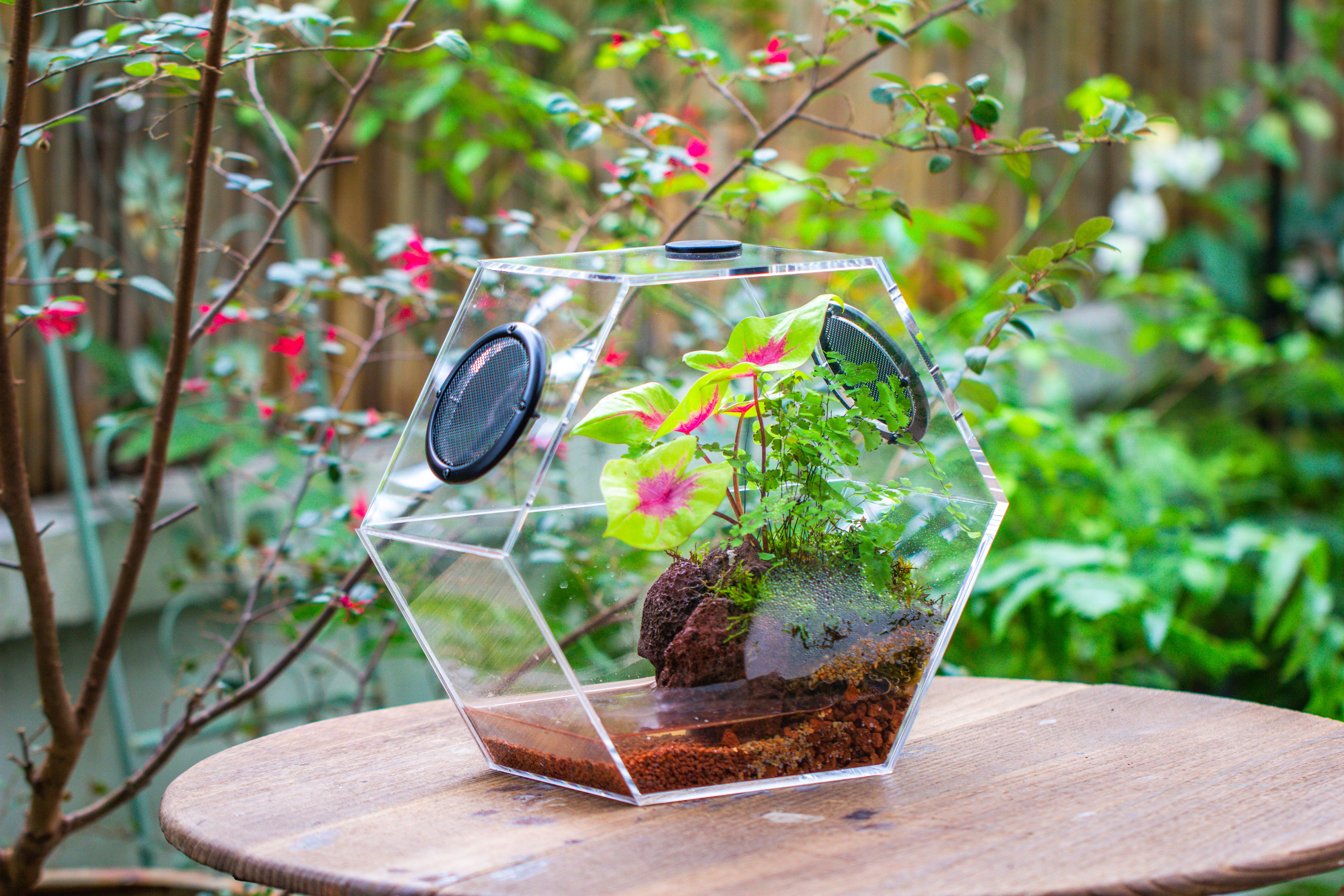 Handmade Extra Large Acrylic Hexagon Watertight Enclosure Terrarium with Mesh Vents, Feed Hole for Insects, Vivarium, Enclosure Only - NCYPgarden