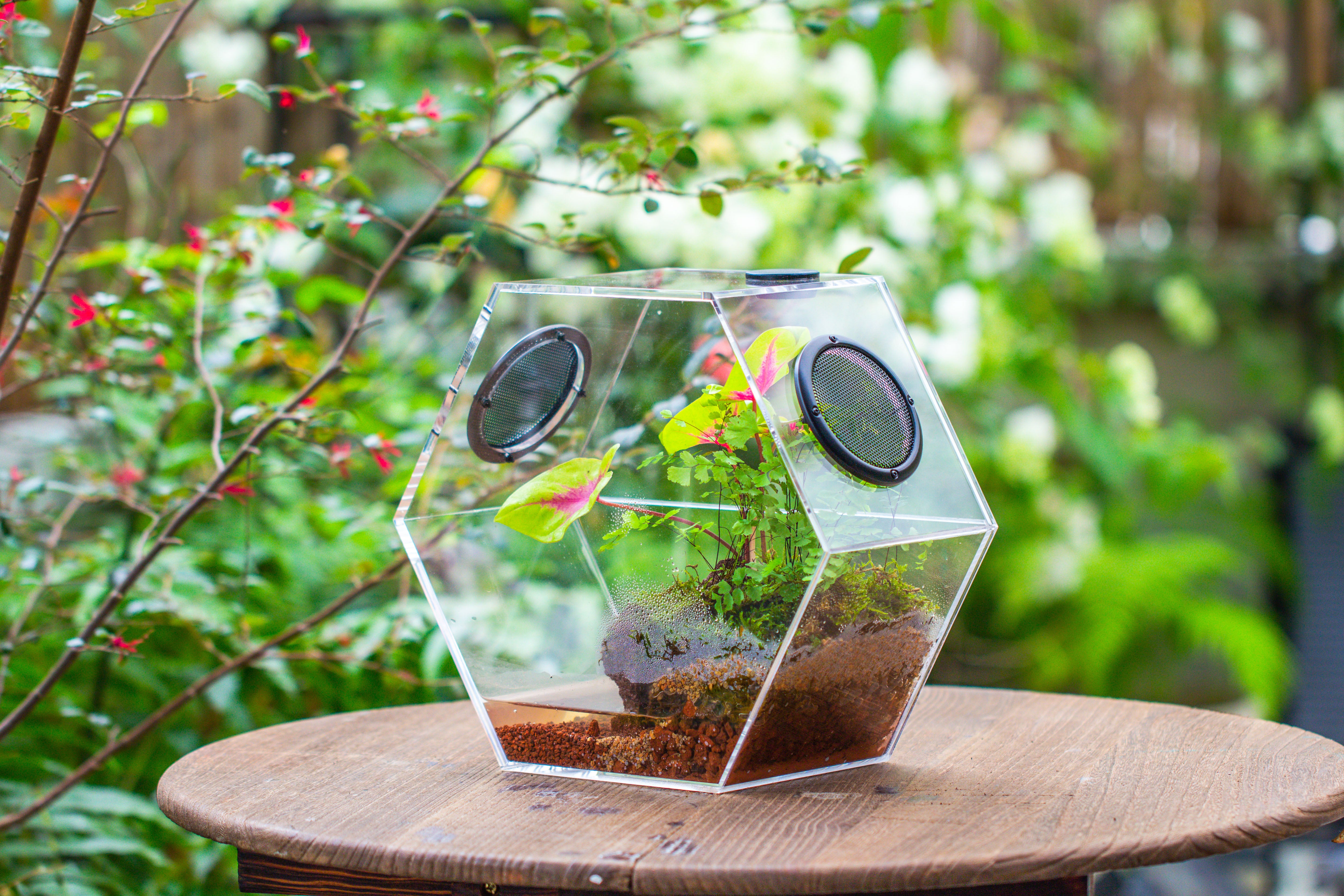 Handmade Extra Large Acrylic Hexagon Watertight Enclosure Terrarium with Mesh Vents, Feed Hole for Insects, Vivarium, Enclosure Only - NCYPgarden