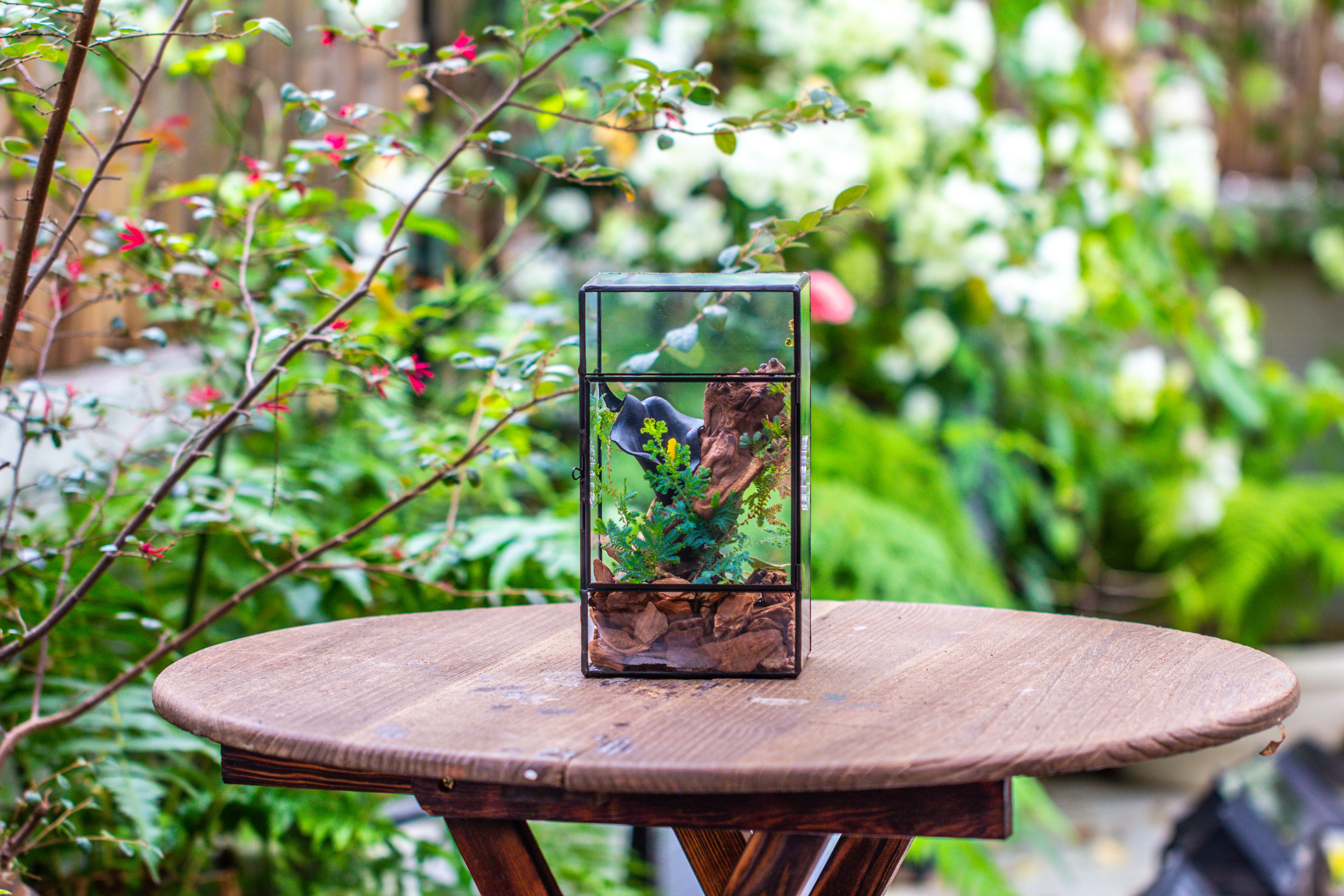 NCYP Rectangle Tin and Glass Geometric Terrarium,  with side door,  with Mesh  / vent holes for small Insects Pet - NCYPgarden