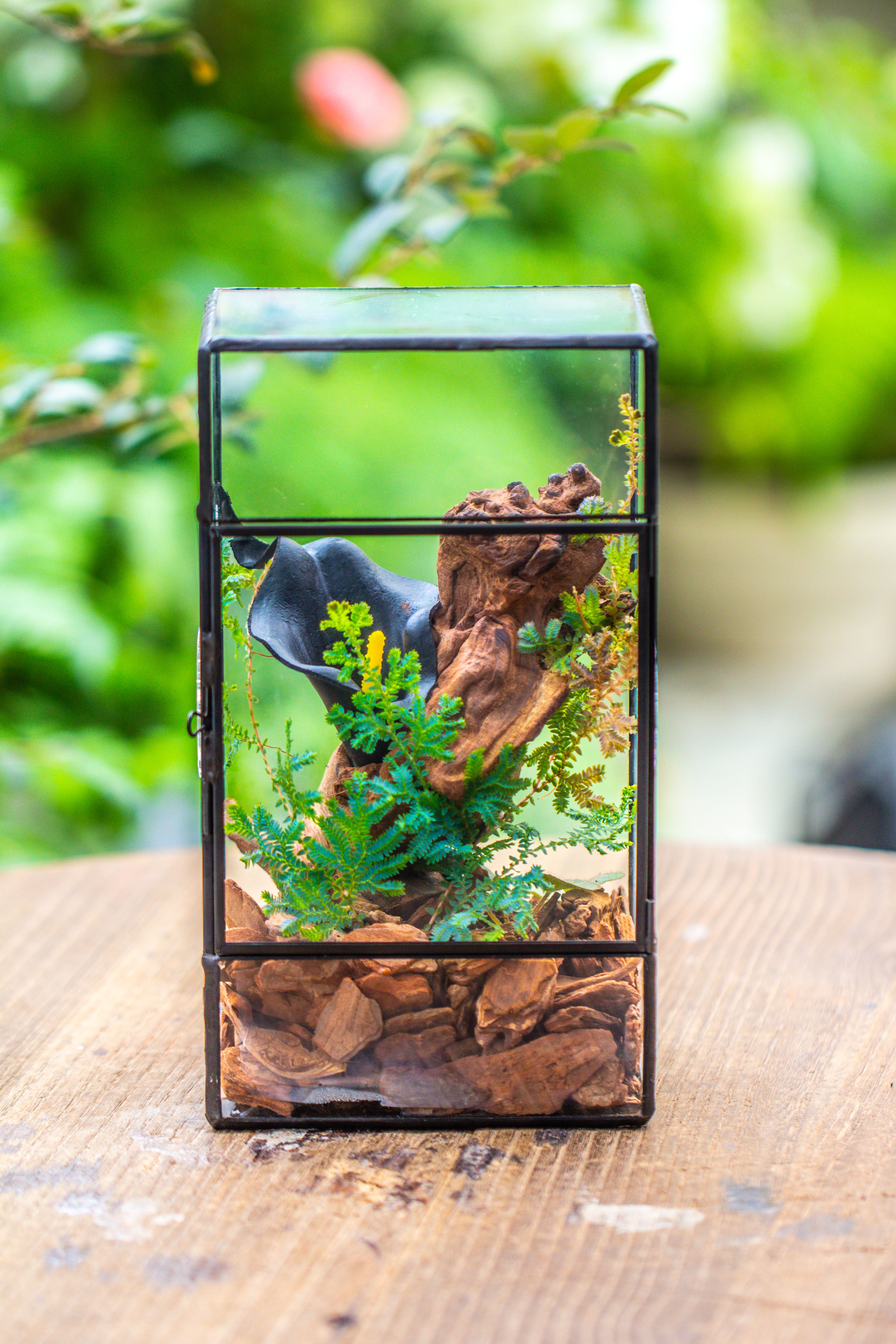 NCYP Rectangle Tin and Glass Geometric Terrarium,  with side door,  with Mesh  / vent holes for small Insects Pet - NCYPgarden