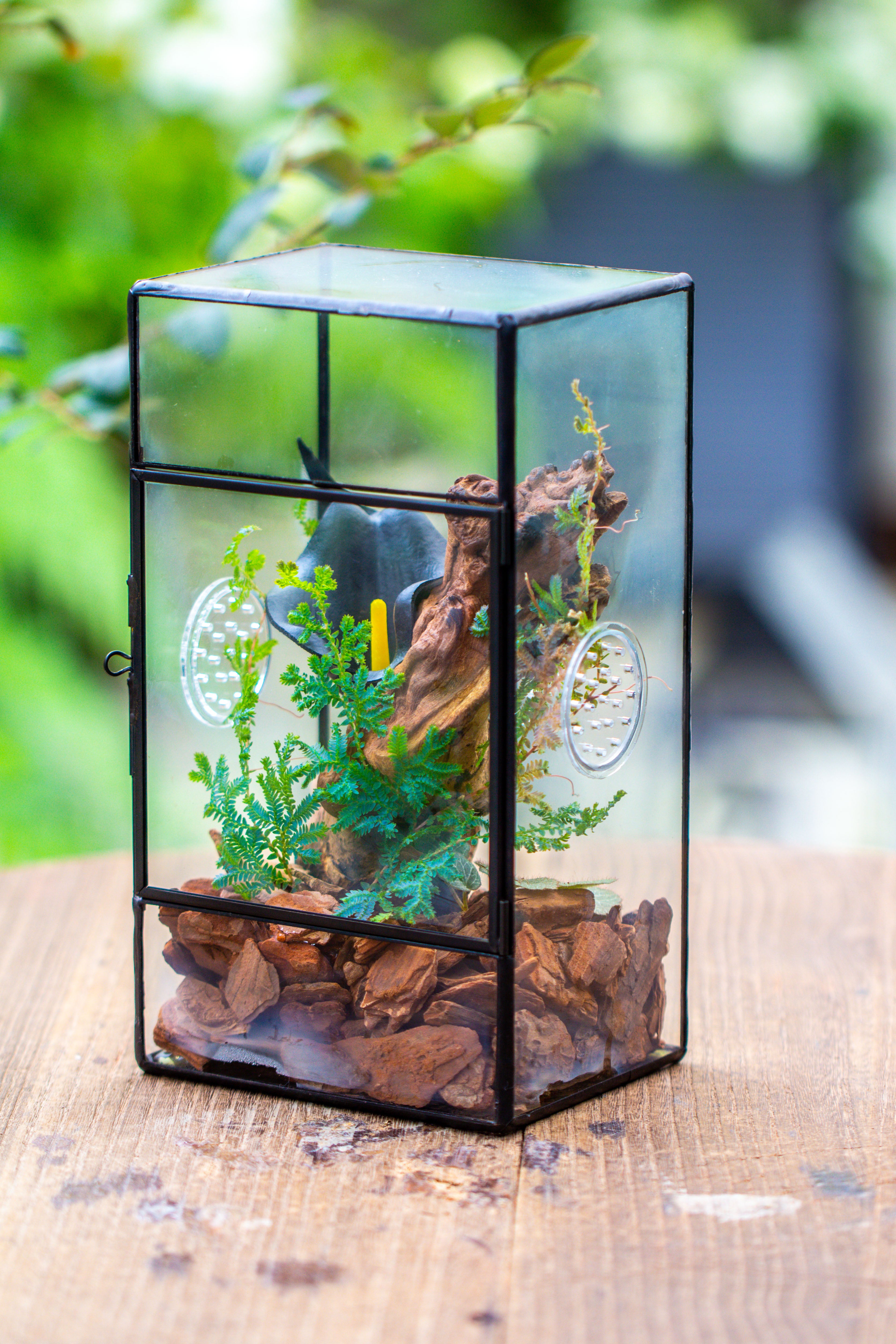 NCYP Rectangle Tin and Glass Geometric Terrarium,  with side door,  with Mesh  / vent holes for small Insects Pet - NCYPgarden