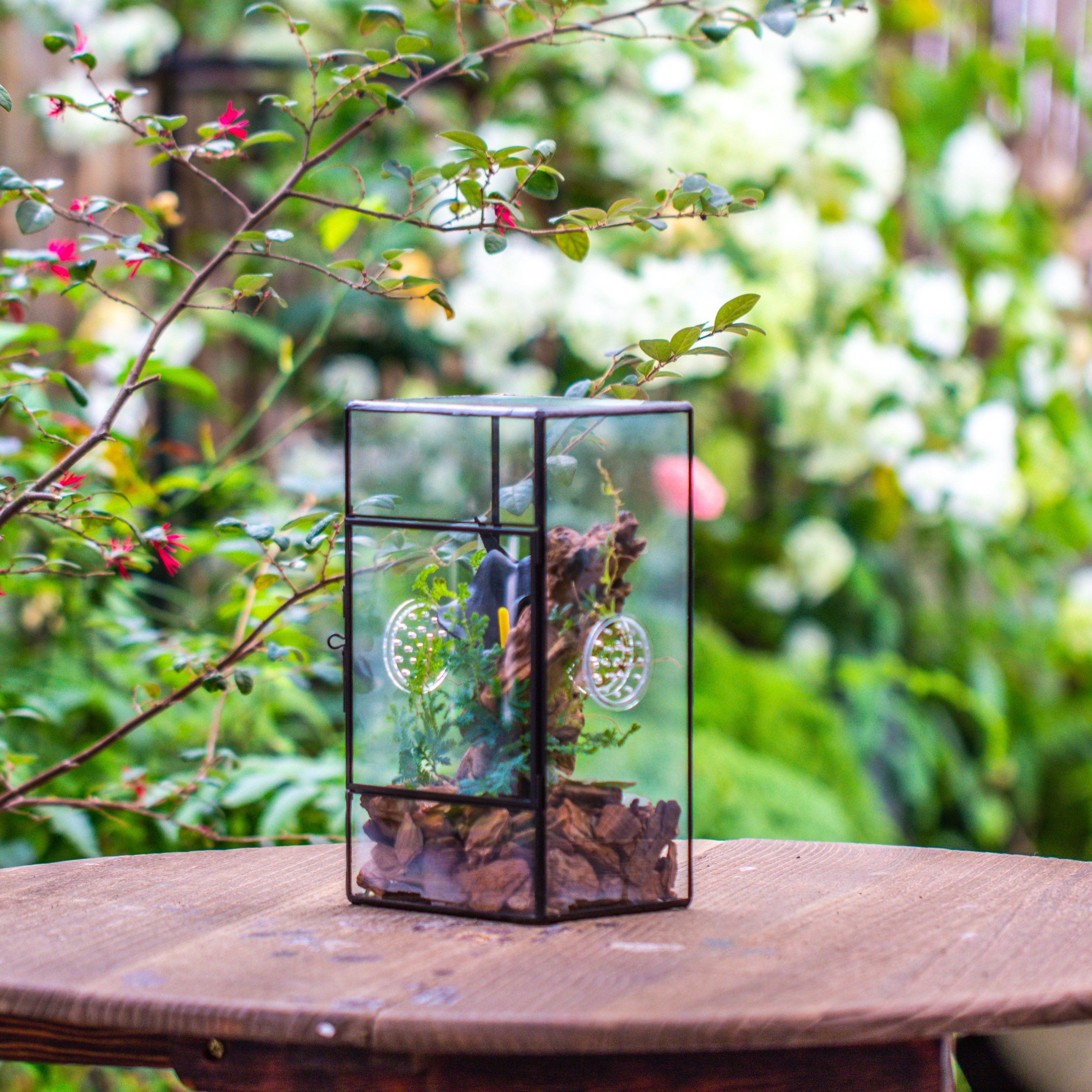 NCYP Rectangle Tin and Glass Geometric Terrarium,  with side door,  with Mesh  / vent holes for small Insects Pet - NCYPgarden