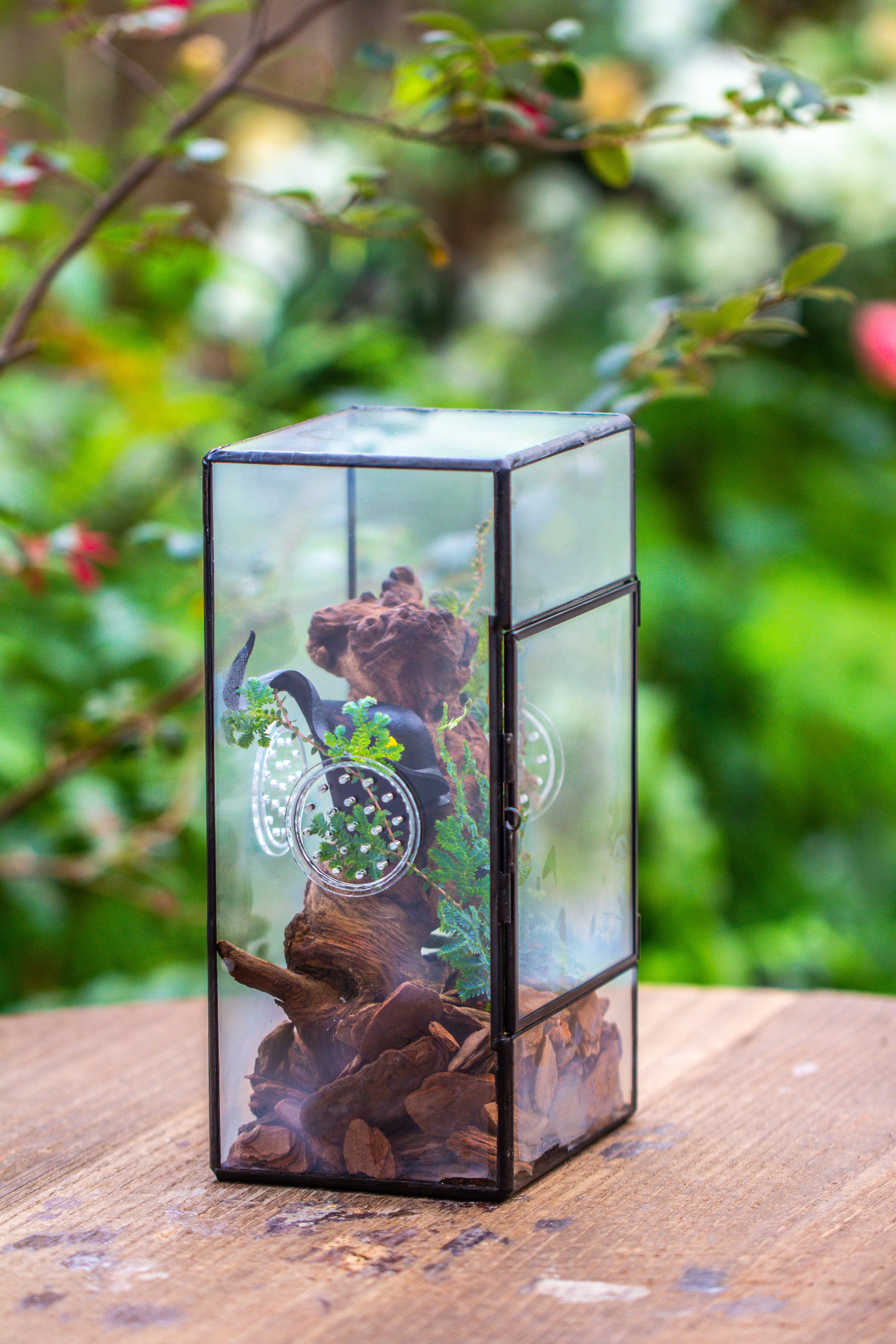 NCYP Rectangle Tin and Glass Geometric Terrarium,  with side door,  with Mesh  / vent holes for small Insects Pet - NCYPgarden