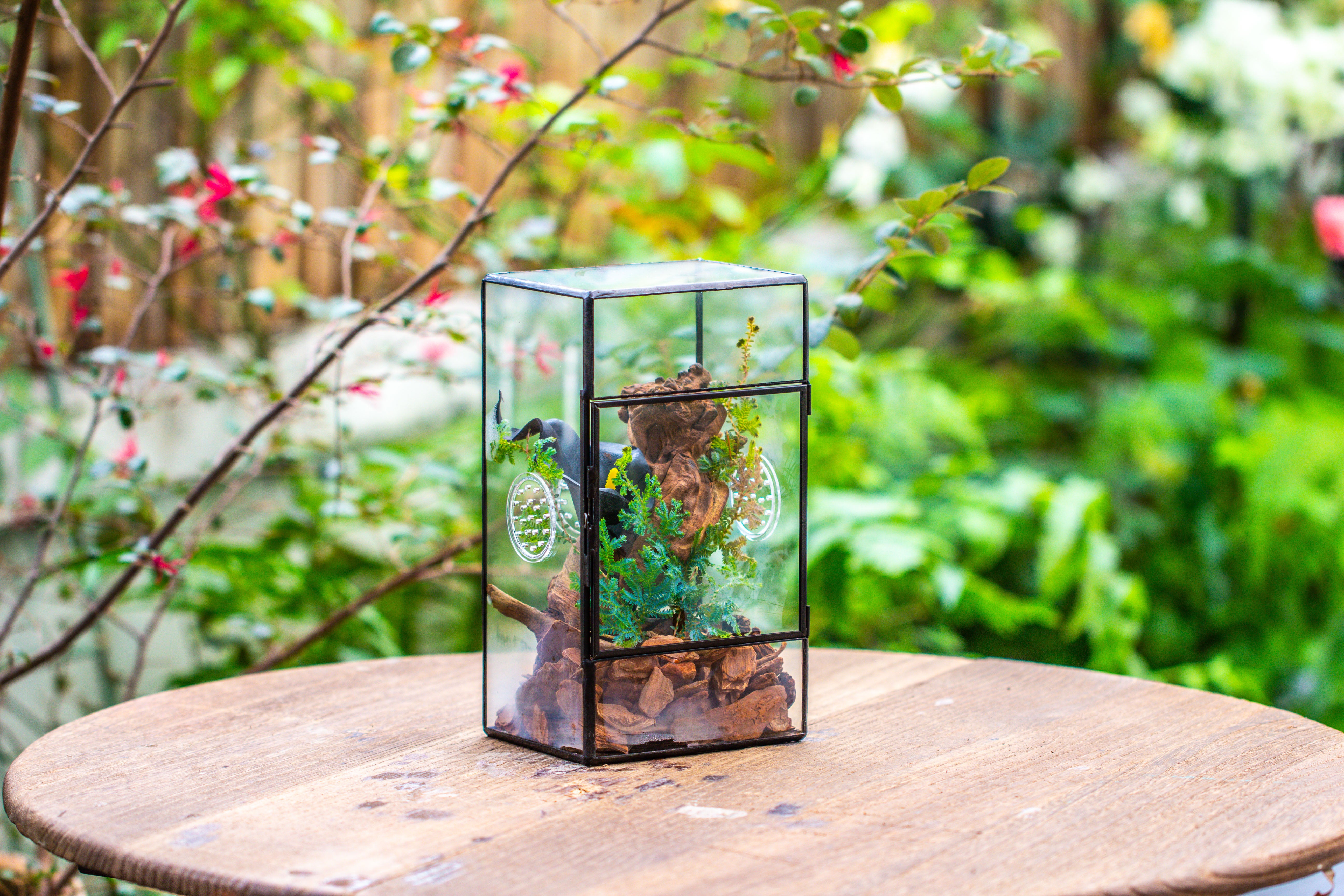 NCYP Rectangle Tin and Glass Geometric Terrarium,  with side door,  with Mesh  / vent holes for small Insects Pet - NCYPgarden
