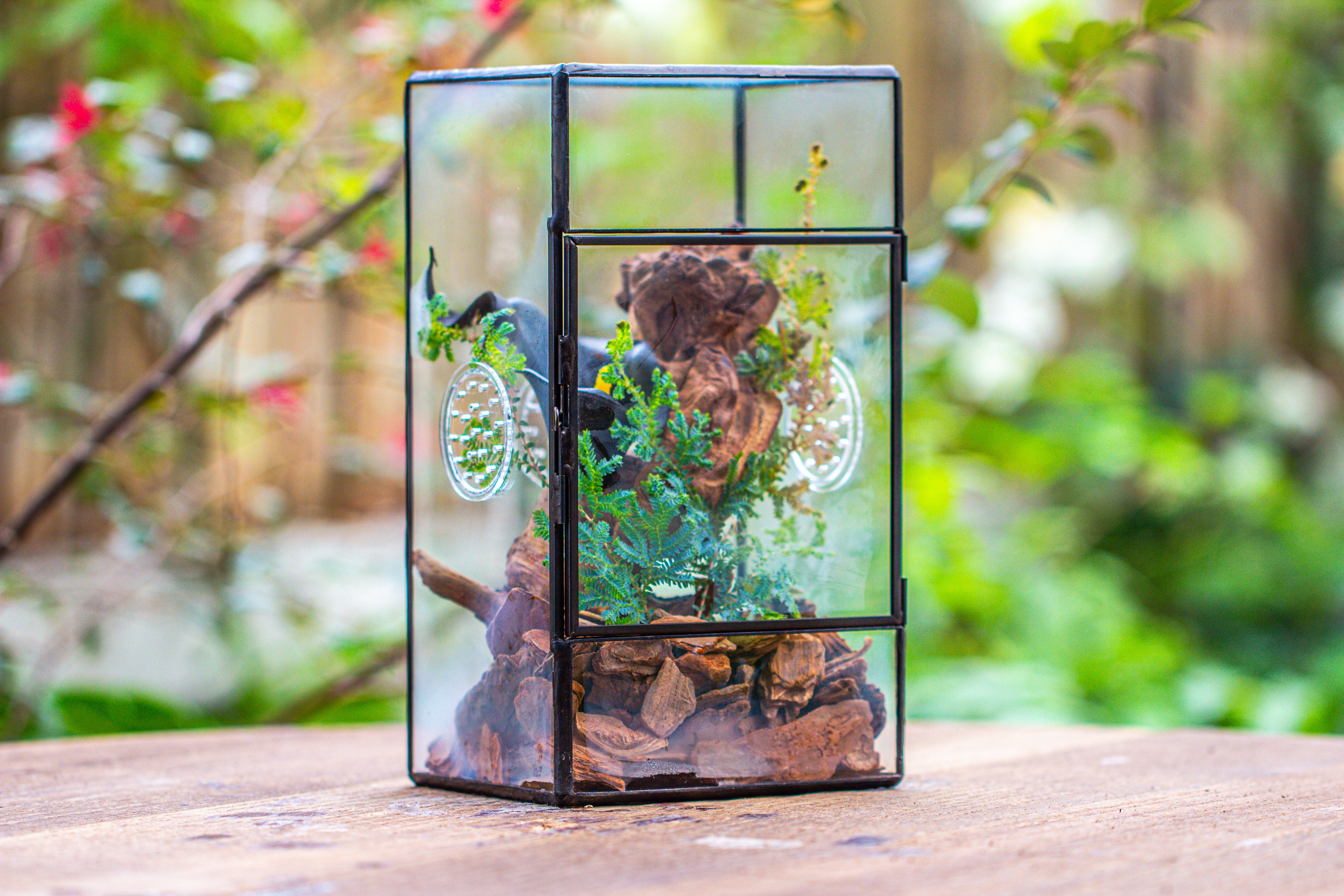 NCYP Rectangle Tin and Glass Geometric Terrarium,  with side door,  with Mesh  / vent holes for small Insects Pet - NCYPgarden