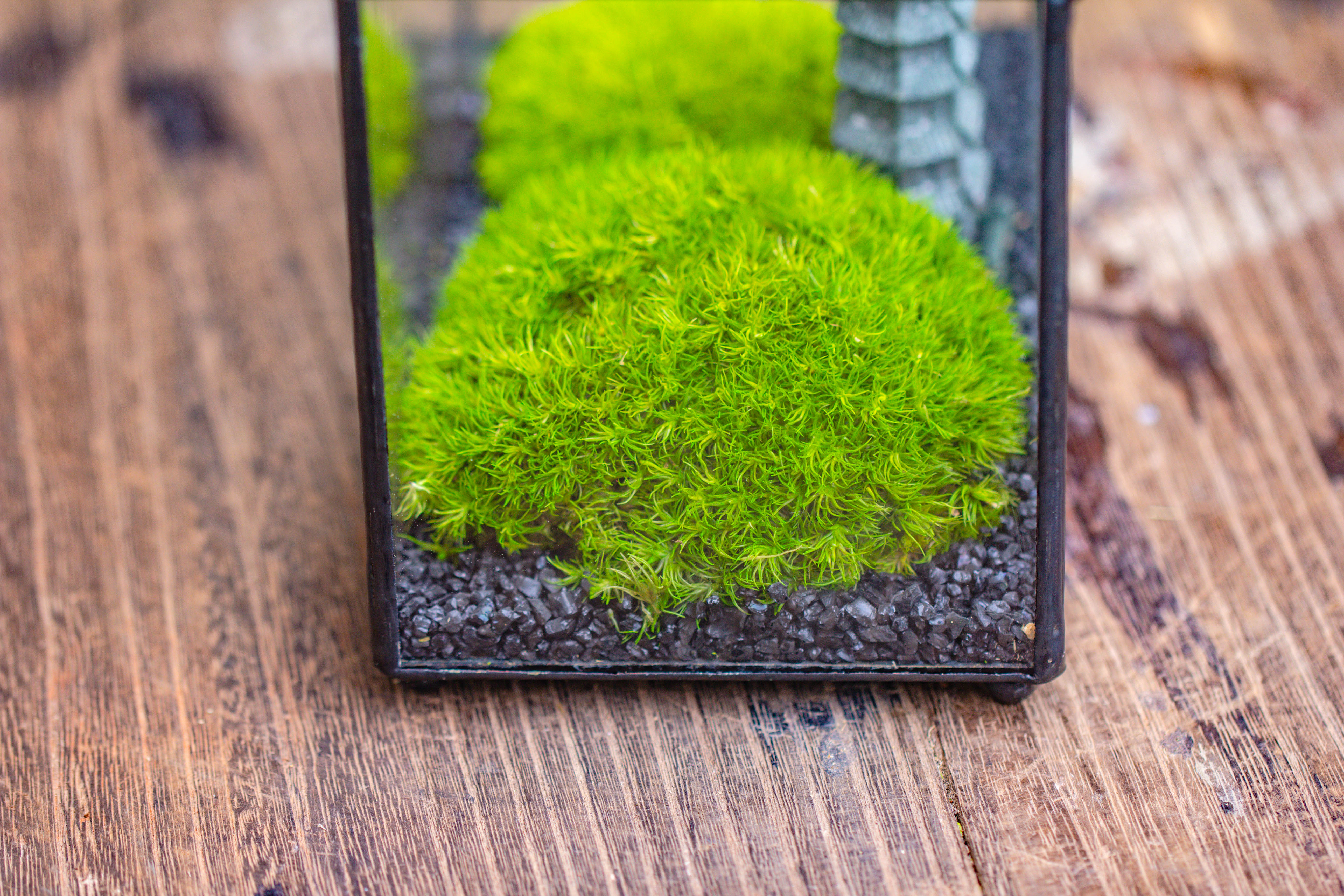 Preserved moss terrarium Miniature DIY set, Japanese Zen Style, Preserved Leucobryum moss and pagoda, 17*10*12cm / 6.7 x 3.9 x 4.7" - NCYPgarden