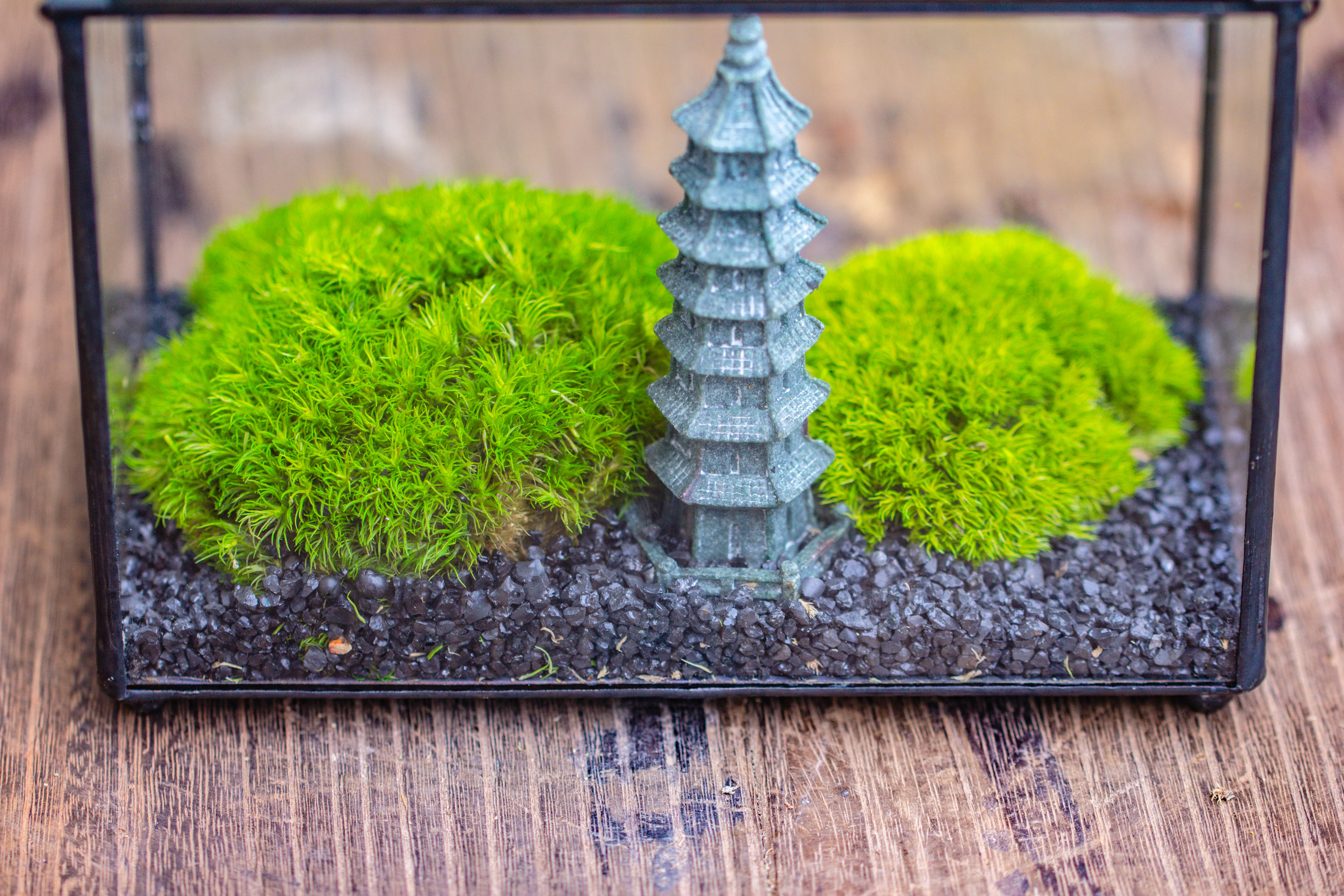 Preserved moss terrarium Miniature DIY set, Japanese Zen Style, Preserved Leucobryum moss and pagoda, 17*10*12cm / 6.7 x 3.9 x 4.7" - NCYPgarden