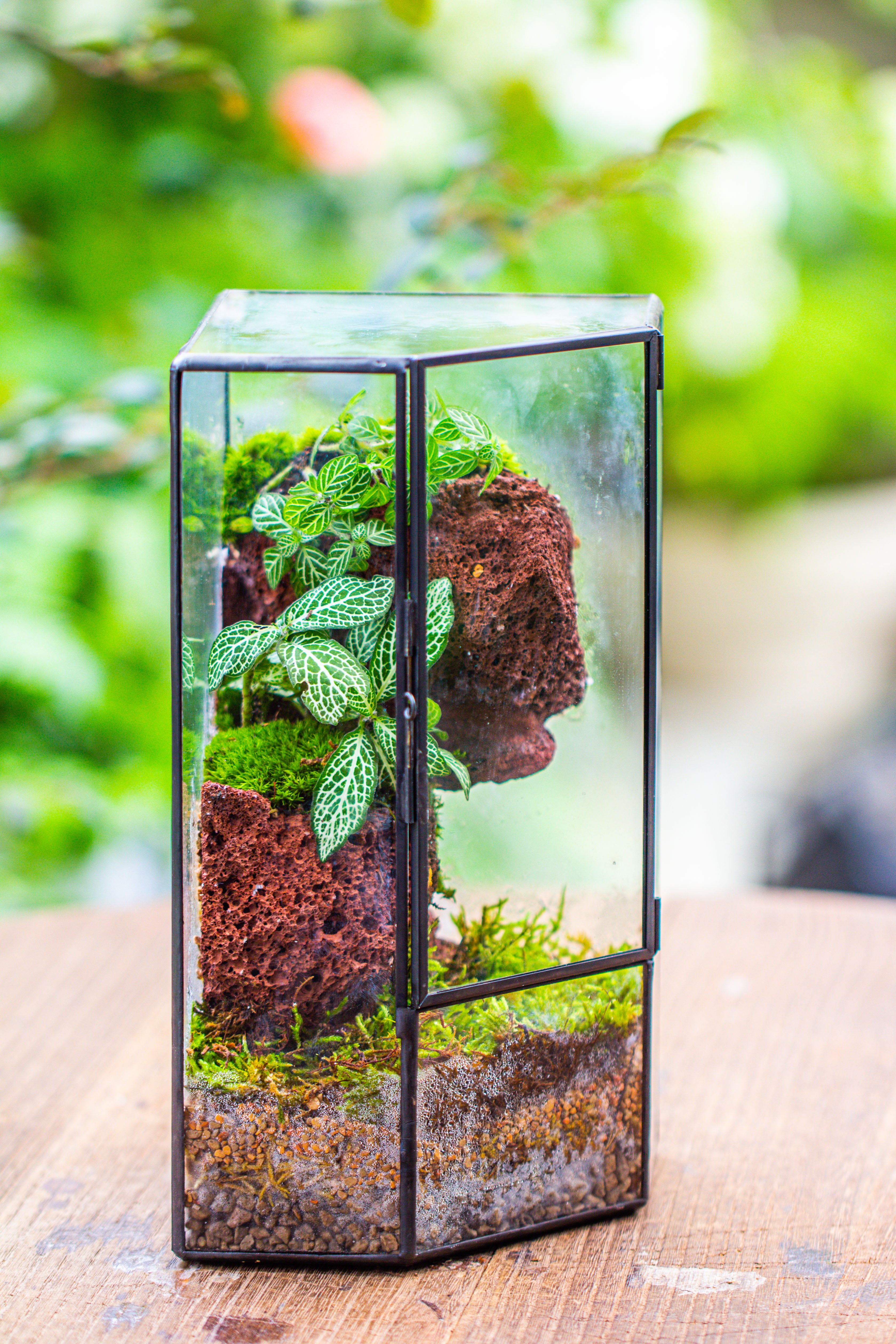 Small Version Handmade Glass Terrarium with Door for Plant, Moss Wall, Closed Geometric Tin Pentagon Planter - NCYPgarden