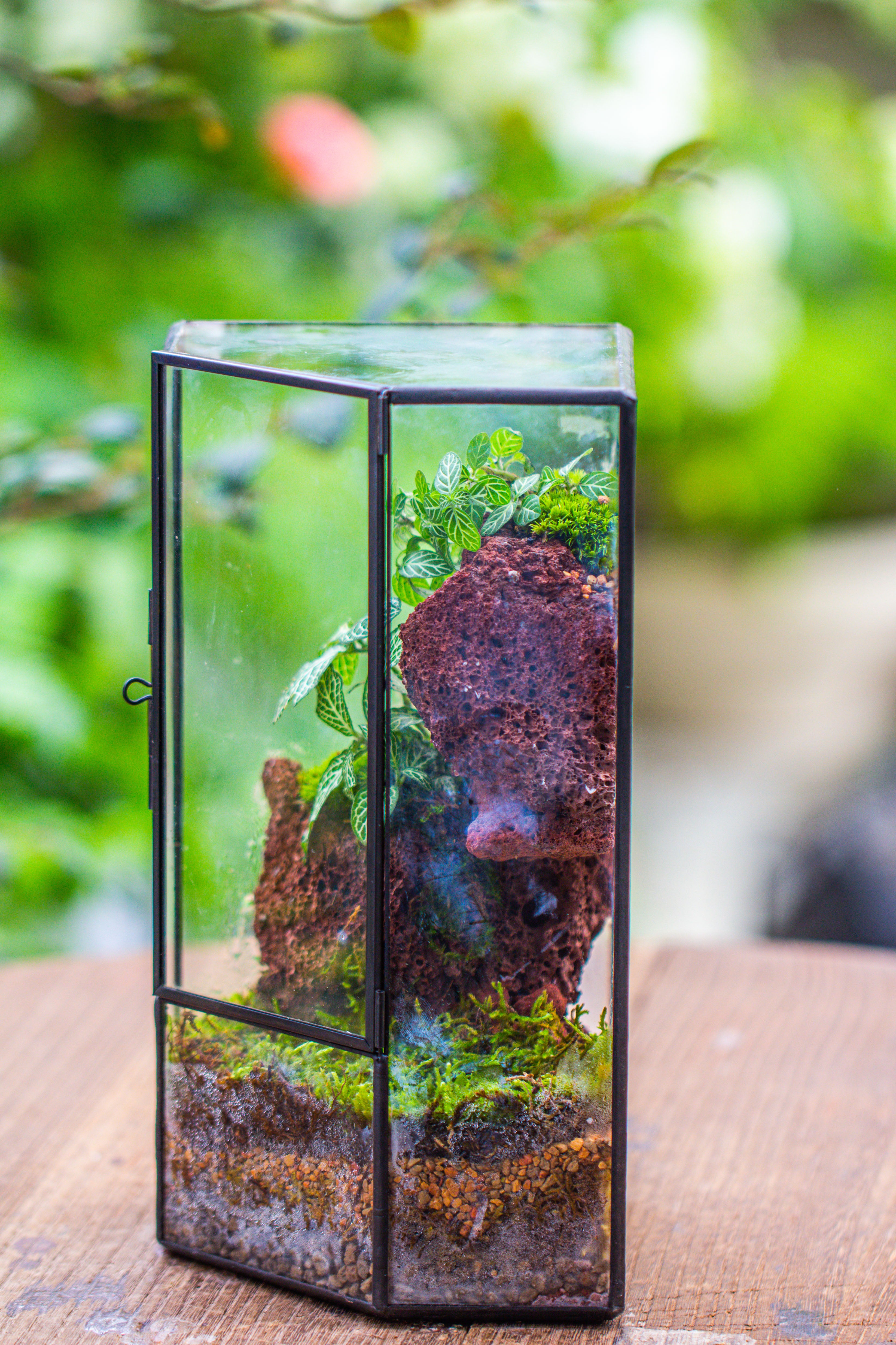 Small Version Handmade Glass Terrarium with Door for Plant, Moss Wall, Closed Geometric Tin Pentagon Planter - NCYPgarden