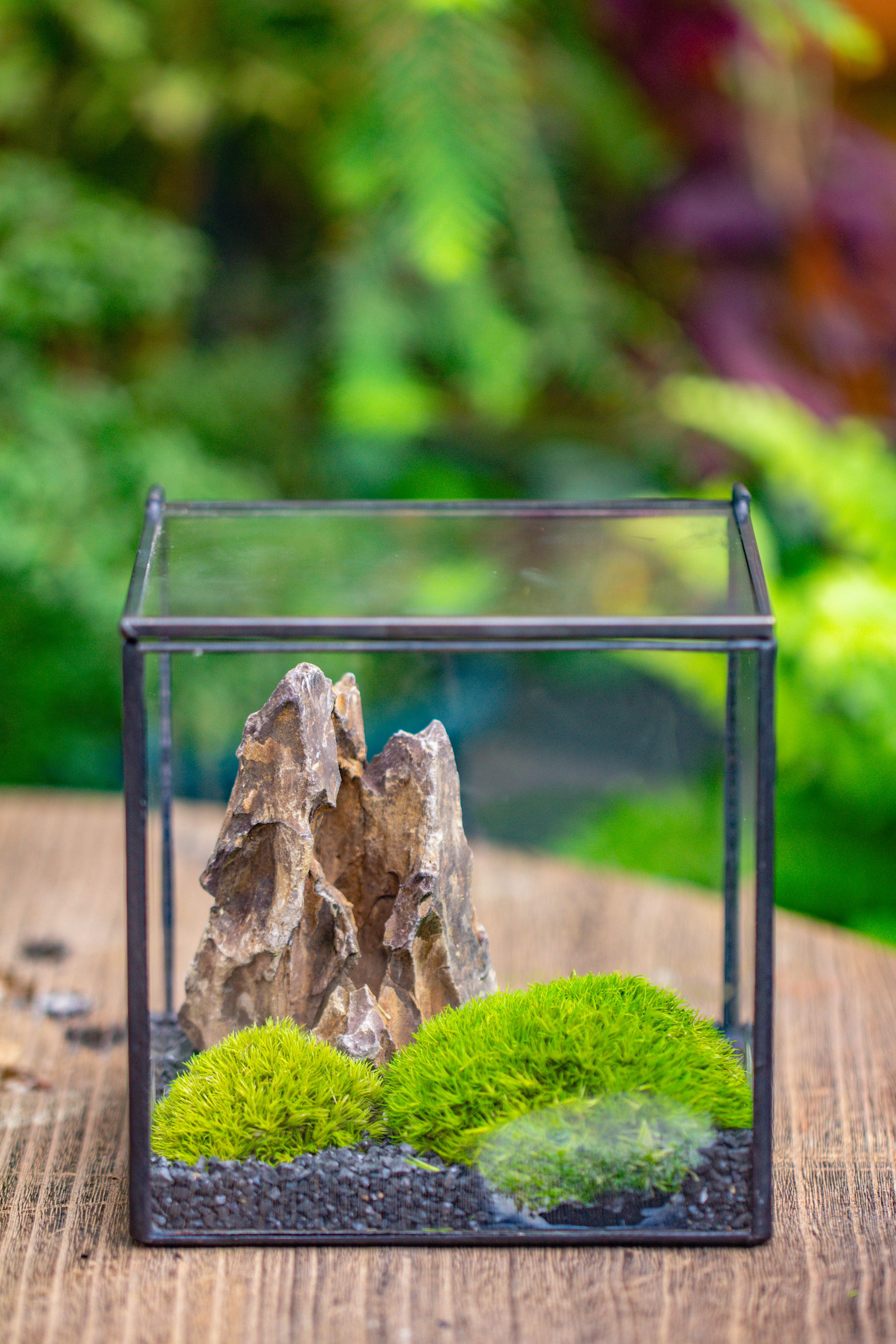 2-6" / 5-15cm cutted Flat bottom Natural Ohko Dragon Stone Rock for Terrarium, Aquarium Bonsai Landscape, 2kg/4.4lb, with DIY tools - NCYPgarden