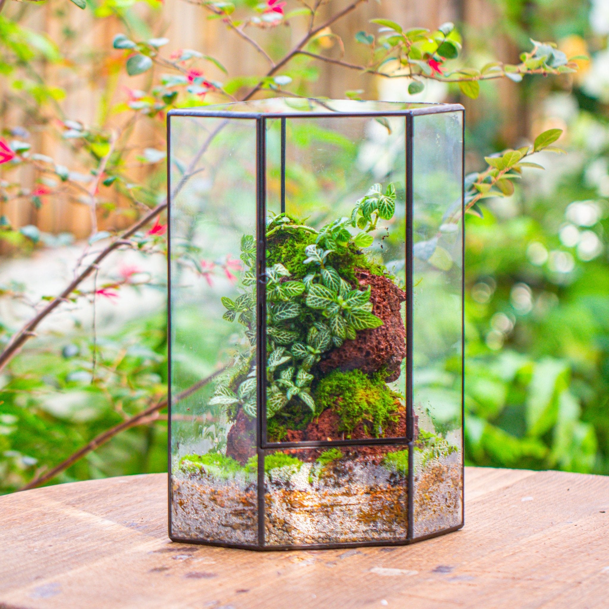 sealed terrarium plants Shop Close Geometric Tin Glass Corner Terrarium – NCYPgarden