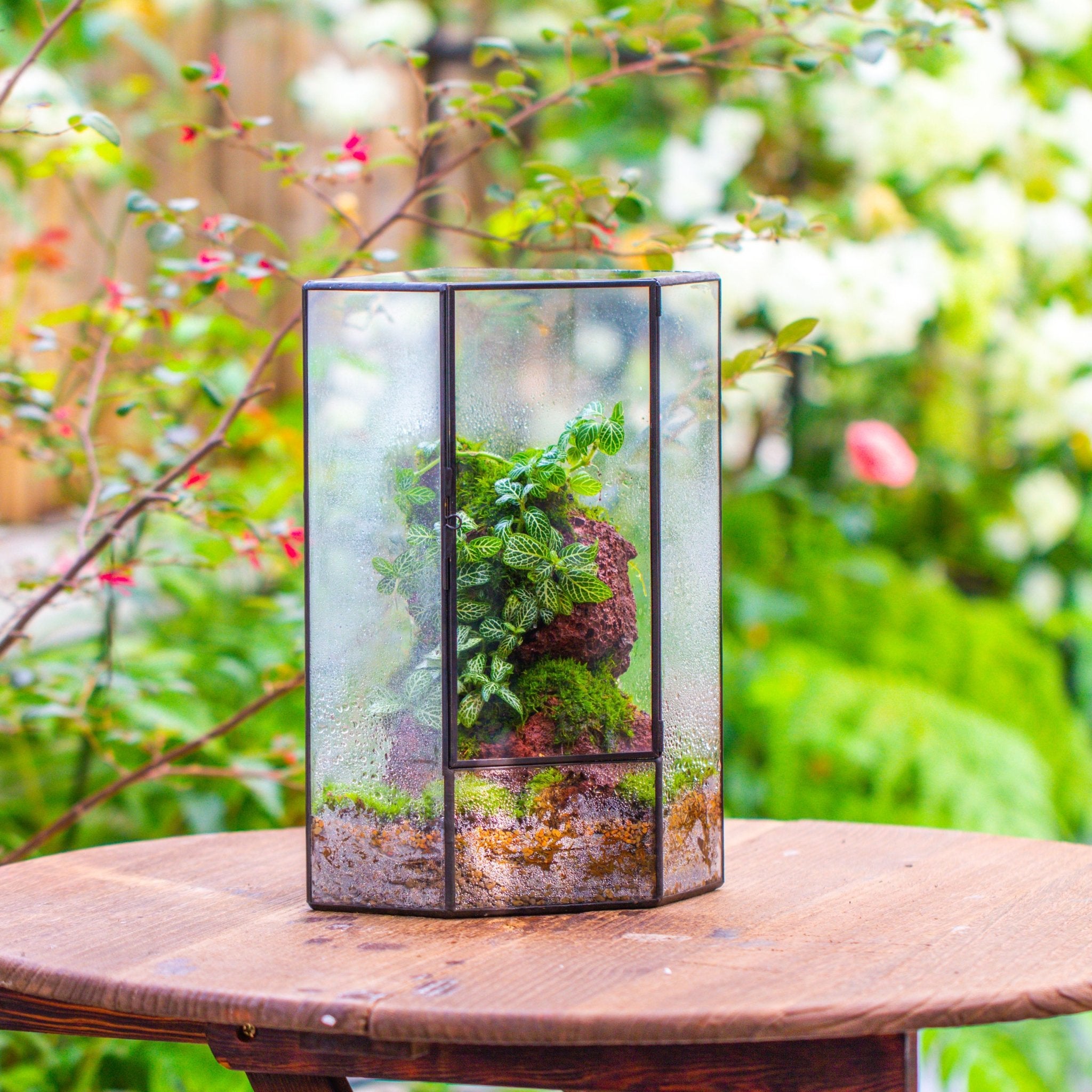 large glass plant terrarium Handmade Close Geometric Tin Glass Corner Terrarium with Door, for Corner, Shelf PC01B2