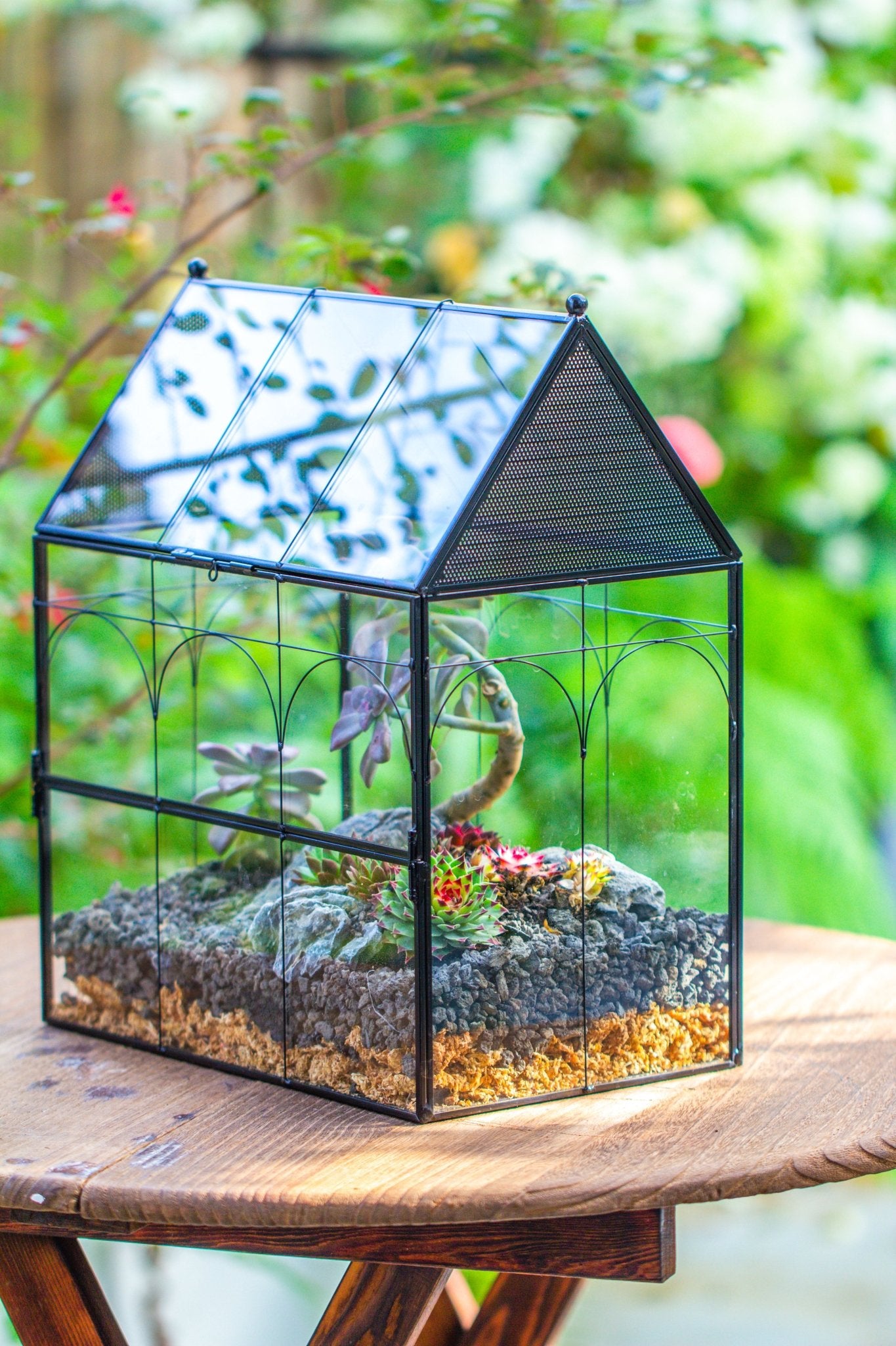 Stick Insect Terrarium Examples Large Vintage House Shape Insect Terrarium with Vent for Tarantulas, M ...
