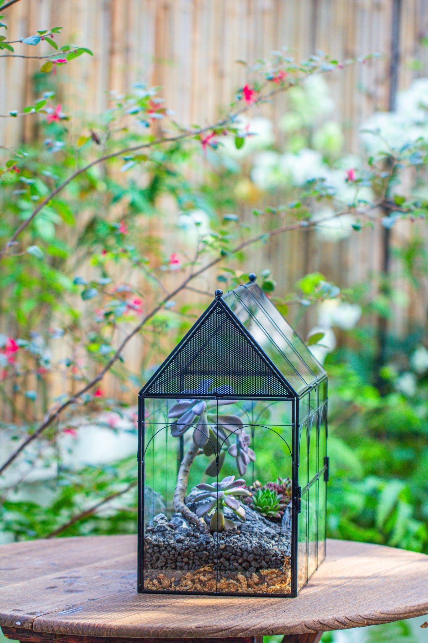 air plant terrarium large Large Vintage House Shape Insect Terrarium with Vent for Tarantulas, M – NCYPgarden