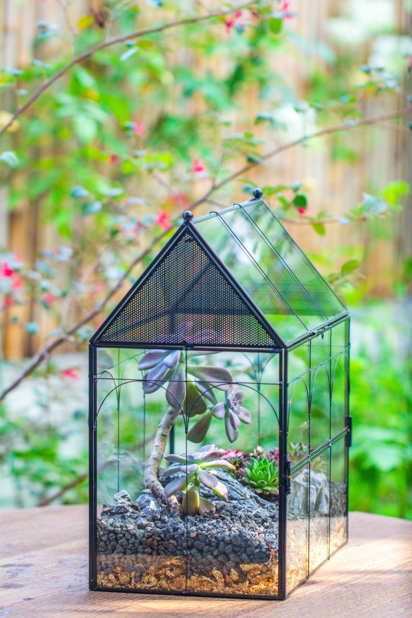 Stick Insect Terrarium Examples Large Vintage House Shape Insect Terrarium with Vent for Tarantulas, M ...