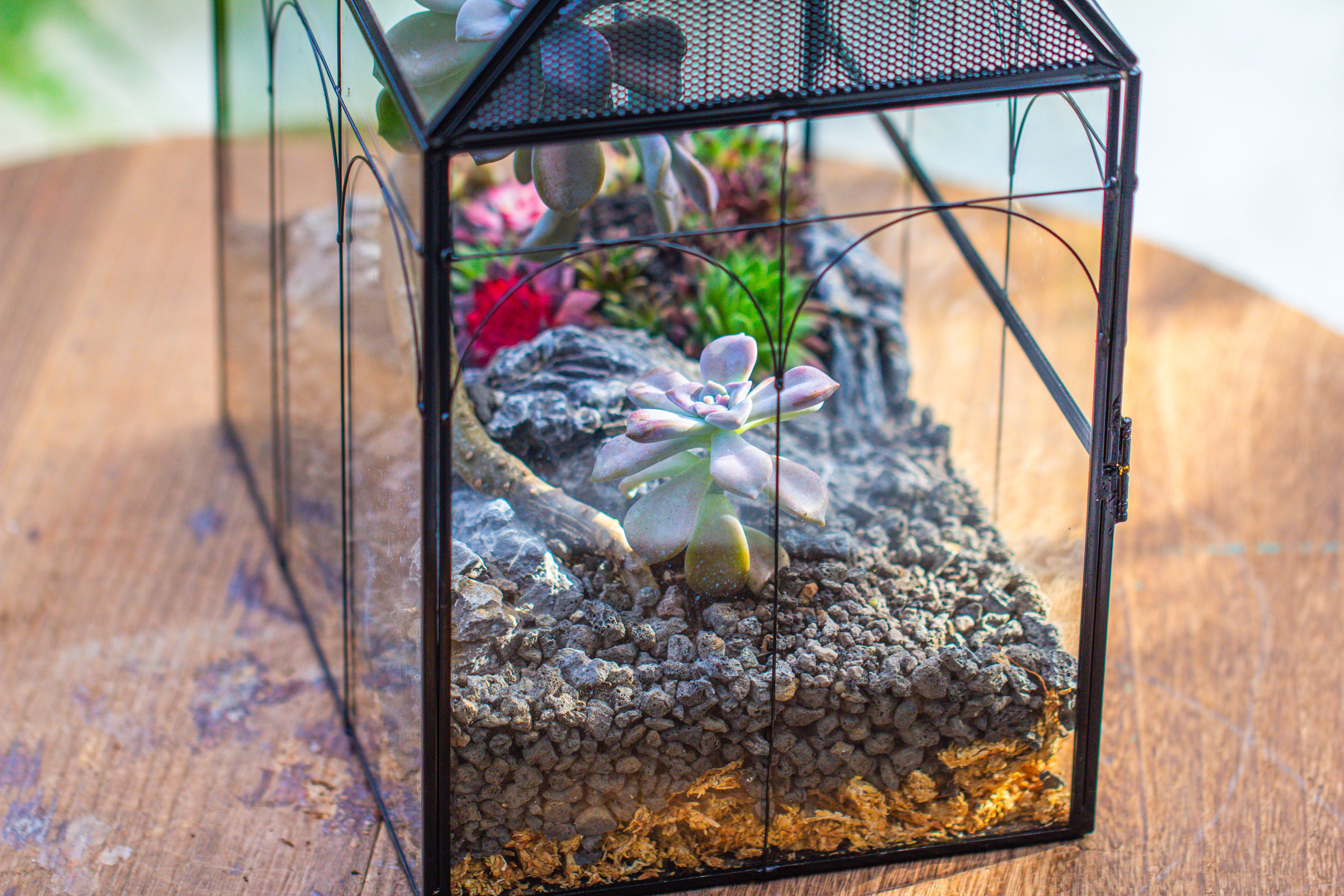 Large Vintage House Shape Insect Terrarium with Vent for Tarantulas, Mantis, Stick Insects -13" - NCYPgarden