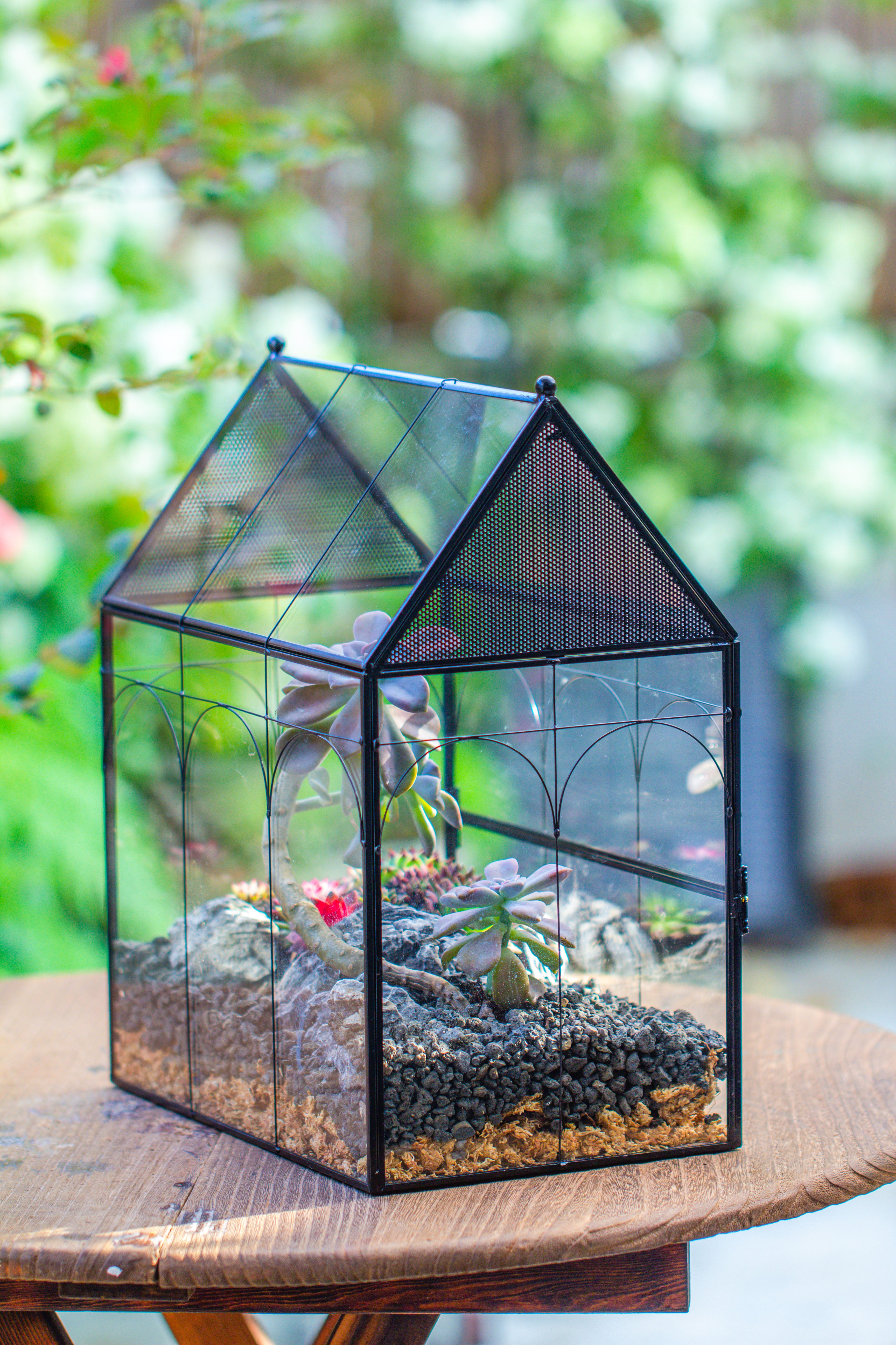 Large Vintage House Shape Insect Terrarium with Vent for Tarantulas, Mantis, Stick Insects -13" - NCYPgarden